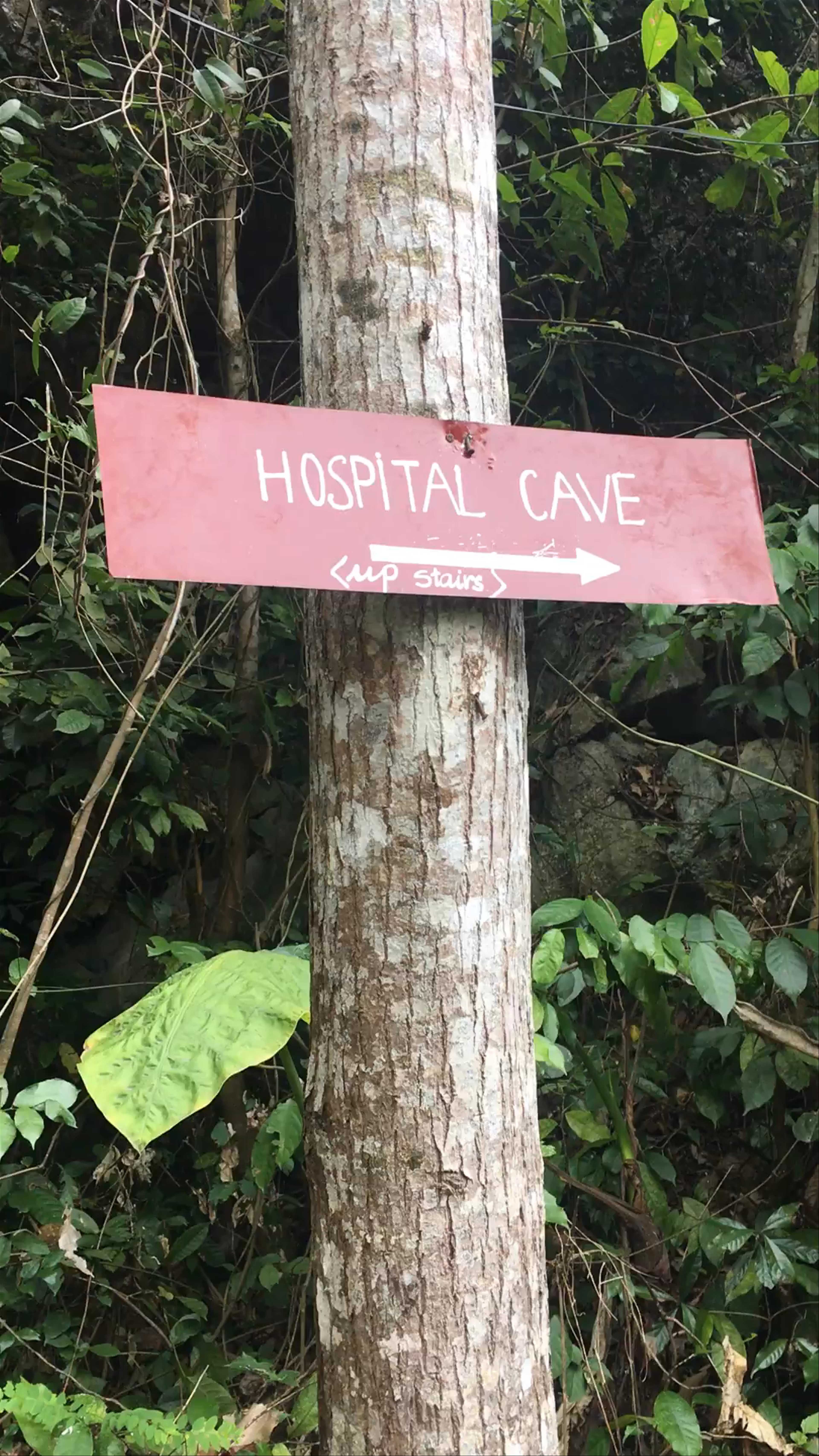 Hospital Cave