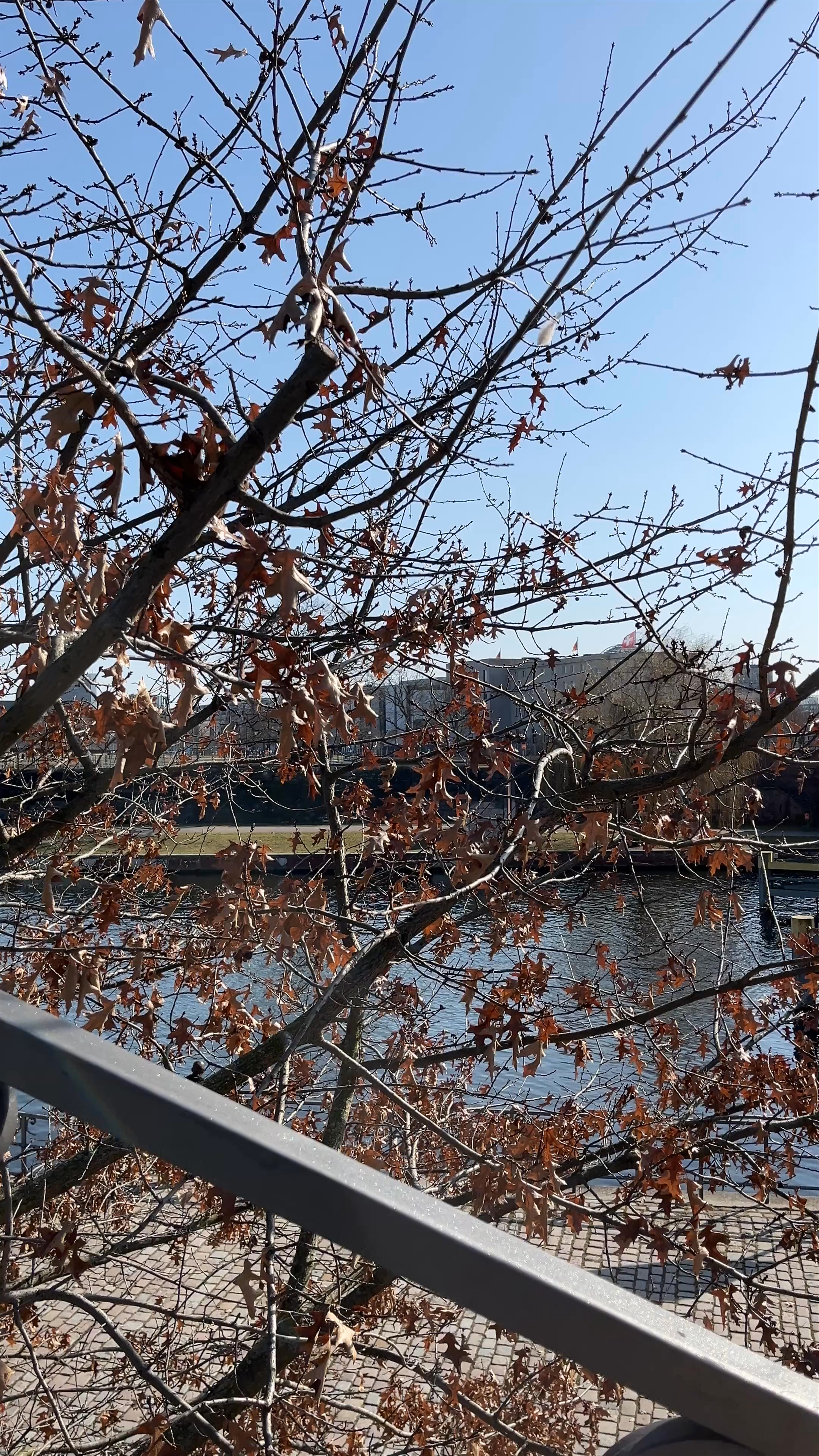 Moltkebrücke in Berlin: A Winter's Day by the River