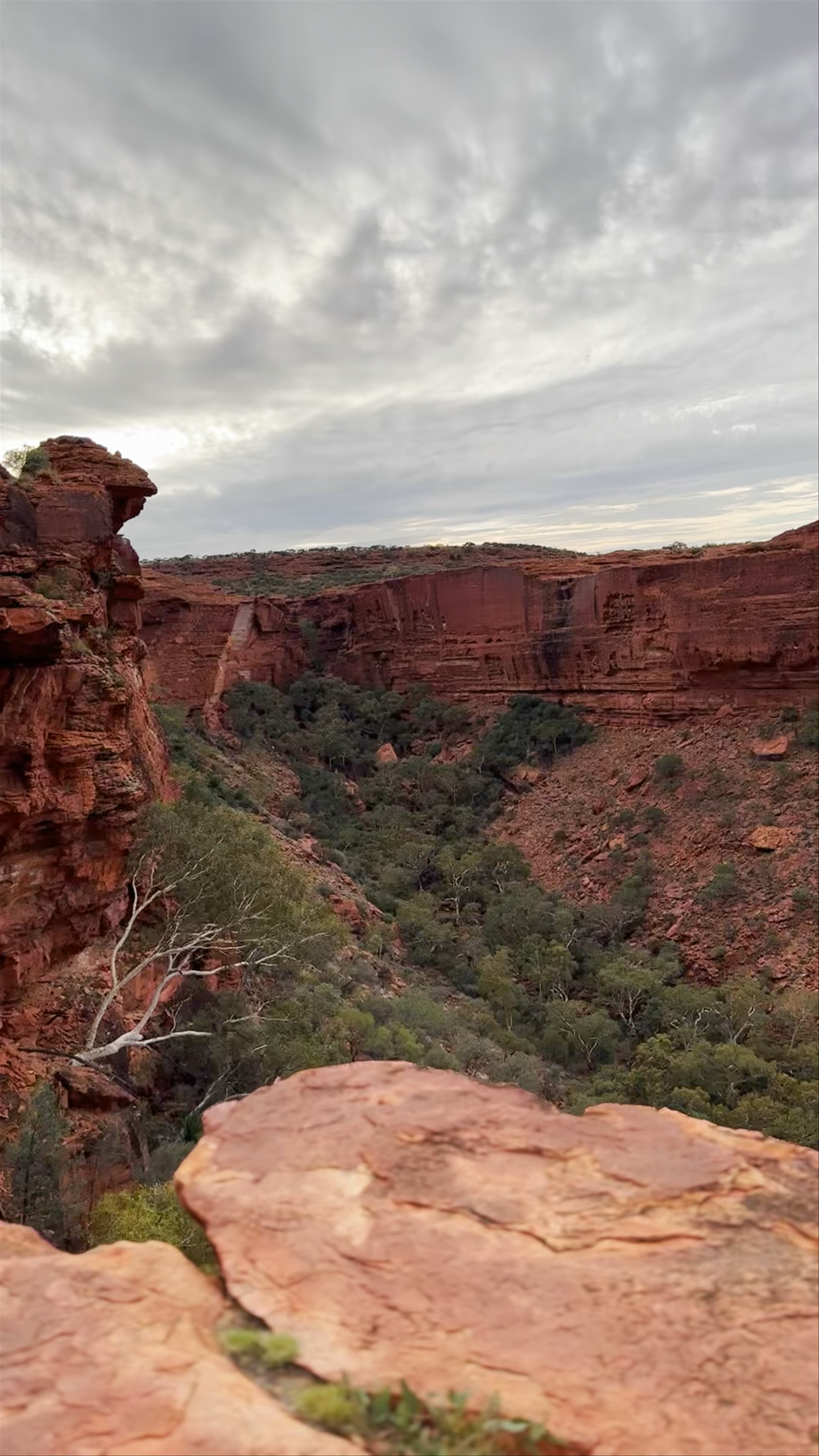 Kings Canyon