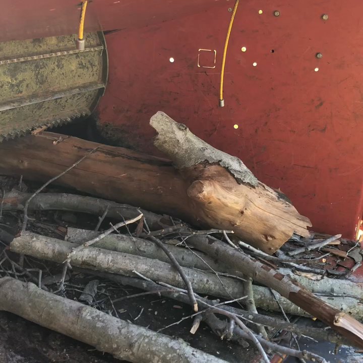 Ramirez Landscape and Tree Service - Dead tree removal - Tree Services Near Me - Fallbrook, California