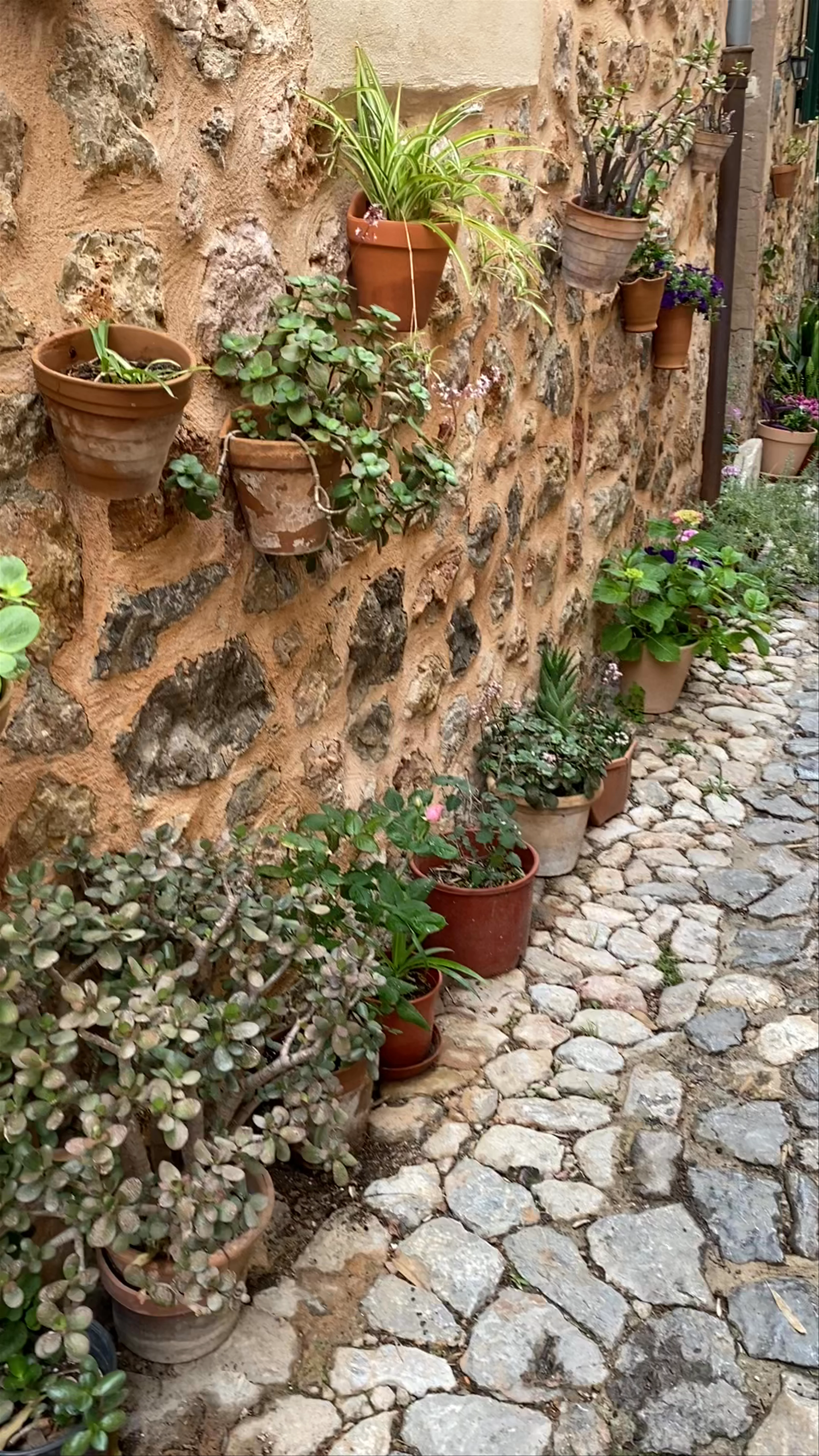 Carrer Rectoria, 5, Valldemossa