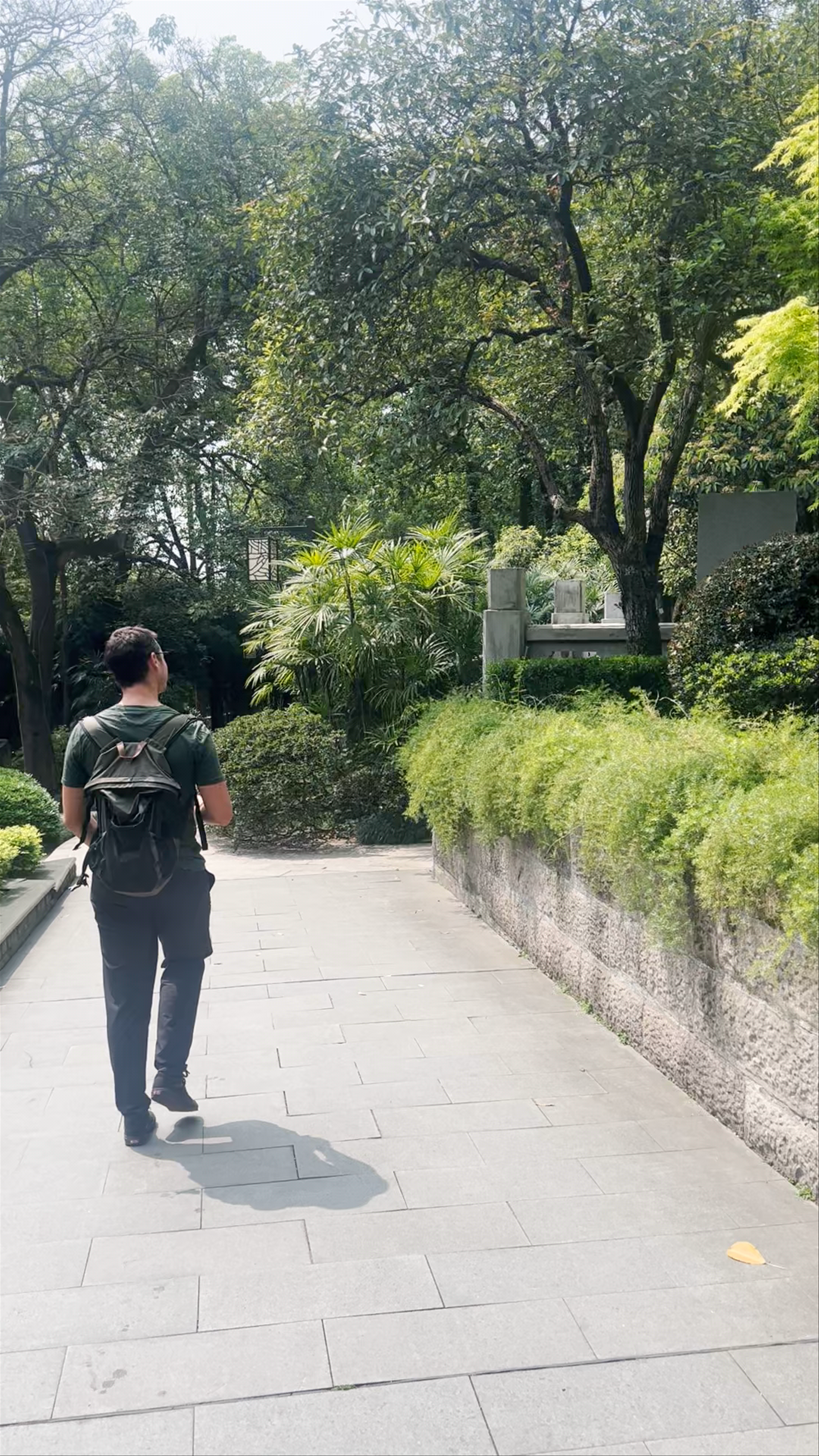 Serene Walk through Eling Park in Chongqing