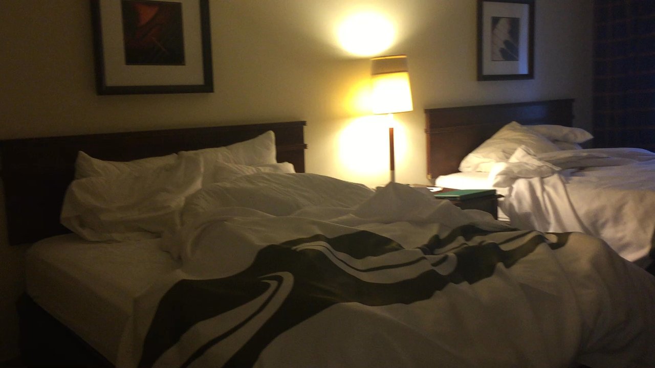 Quality Inn & Suites Everett - A room with 2 Queens and 1 King - Hotels Near Me - Everett, Washington