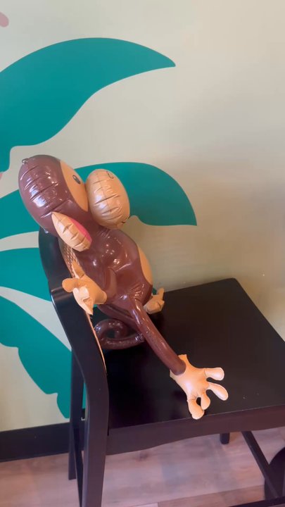 Fresh Monkee Katy - So cute! - Juice Bars & Smoothies Near Me - Katy, Texas