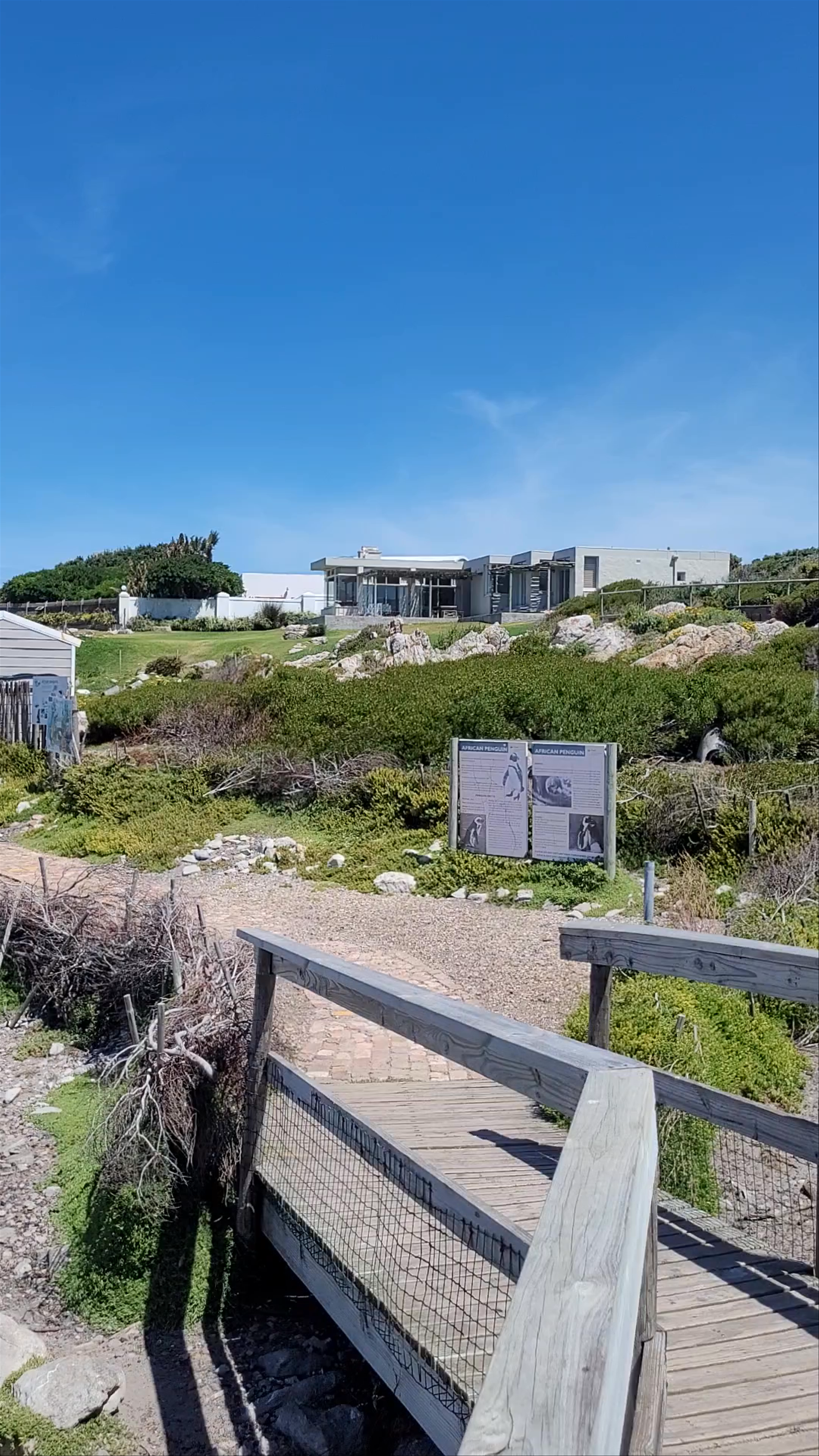 Stony Point Penguin Colony