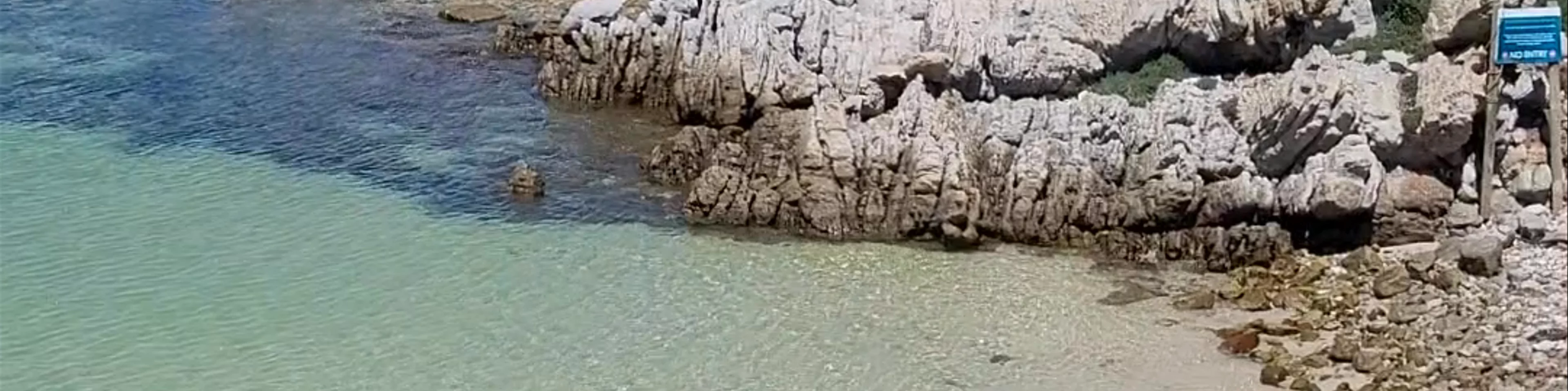 Stony Point Penguin Colony