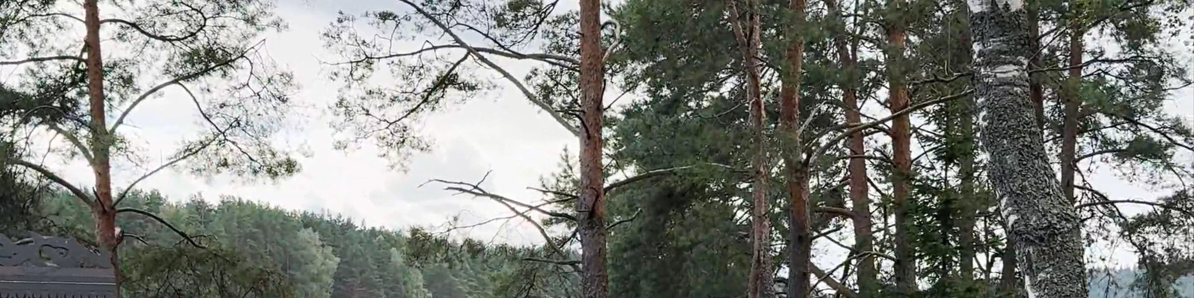 Markovas izziņas taka