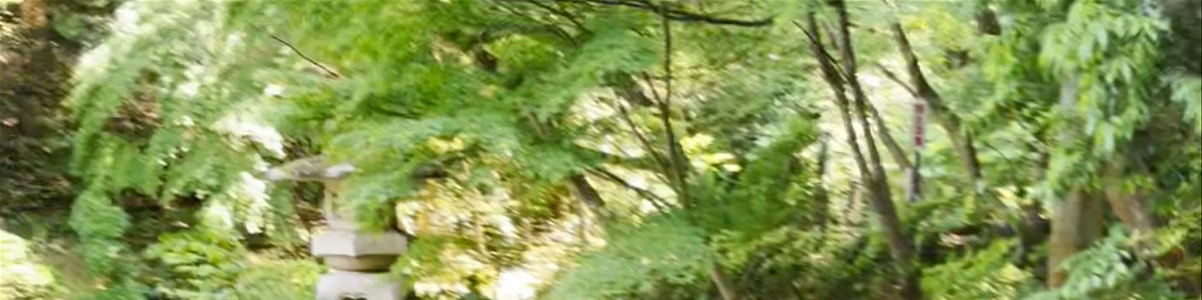 Ryuju Pond