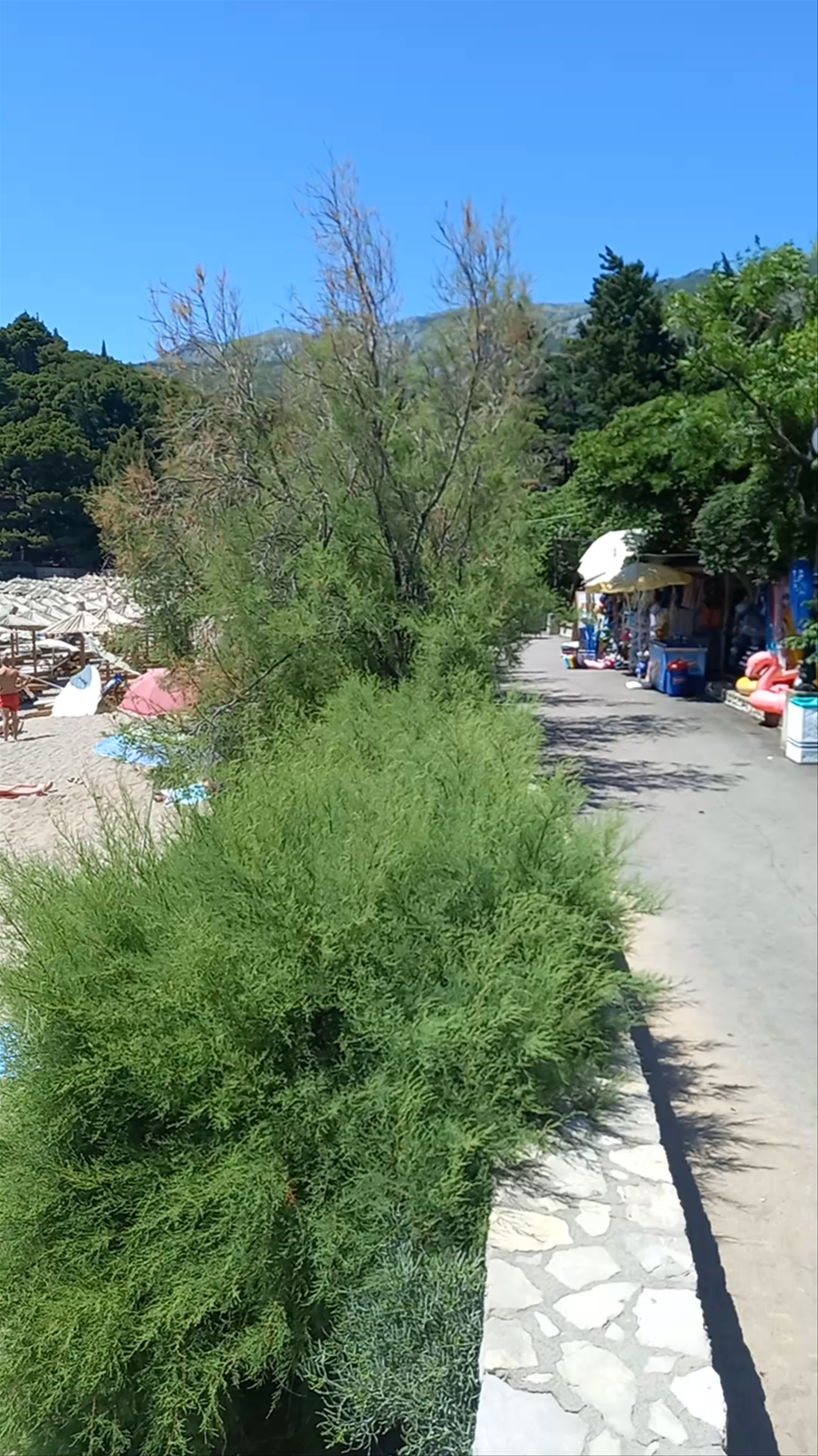Beach Lučice: Hidden Coastal Gem in Petrovac, Montenegro