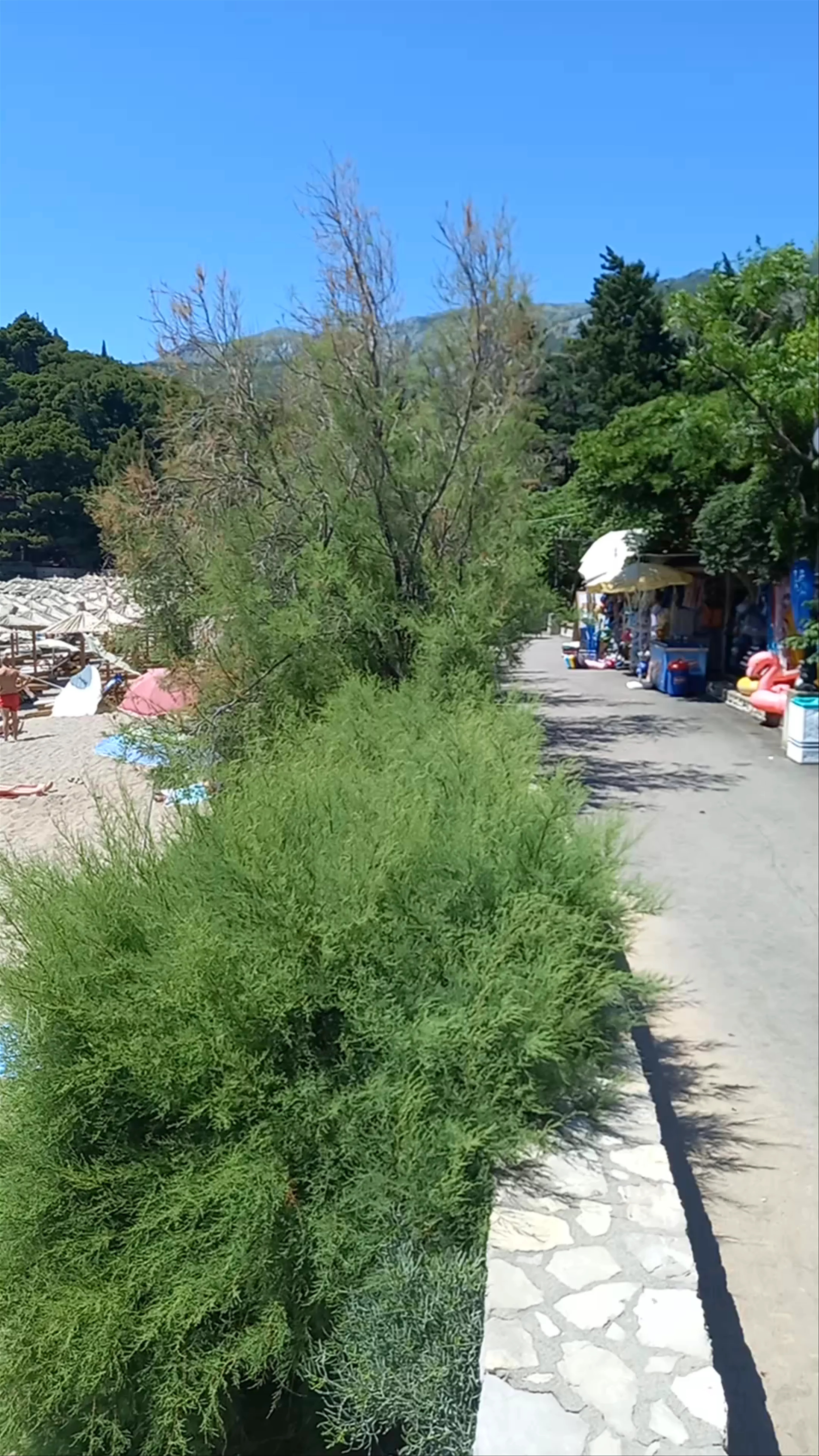 Beach Lučice
