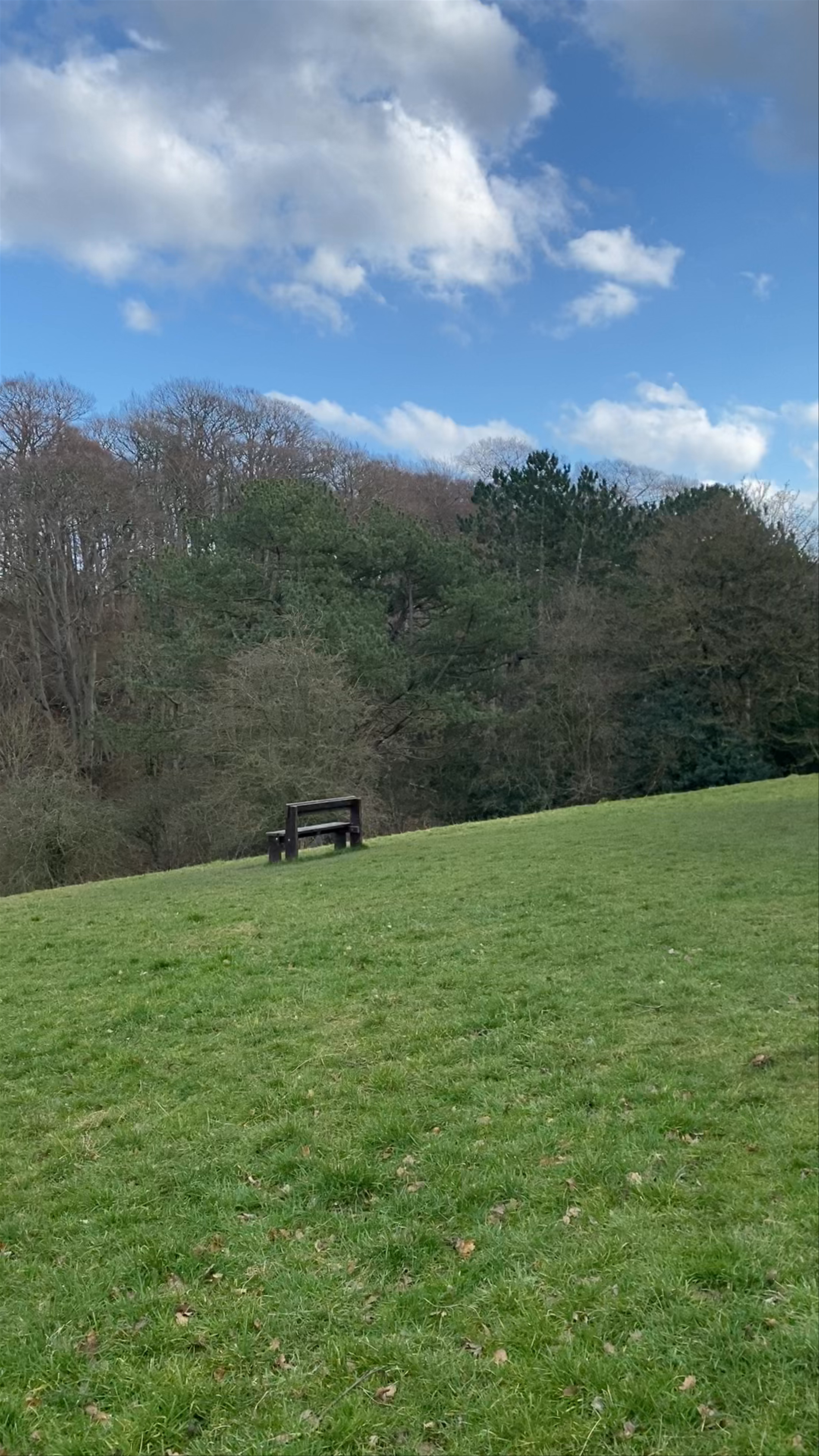 Auckland Castle Deer House: Tranquil Historic Escape in Bishop Auckland