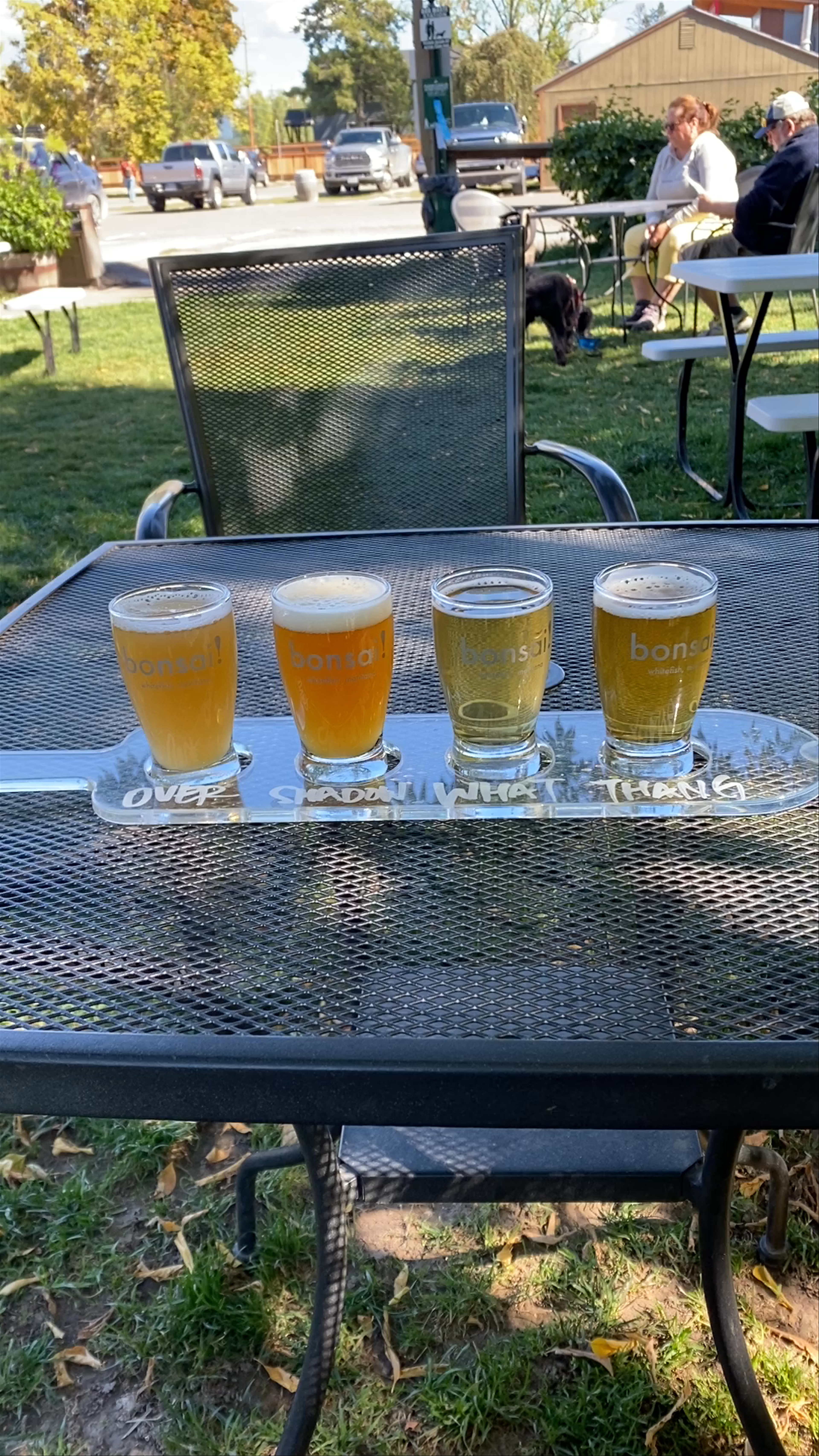 Bonsai Brewing Project: Craft Beer Tasting in Whitefish, Montana
