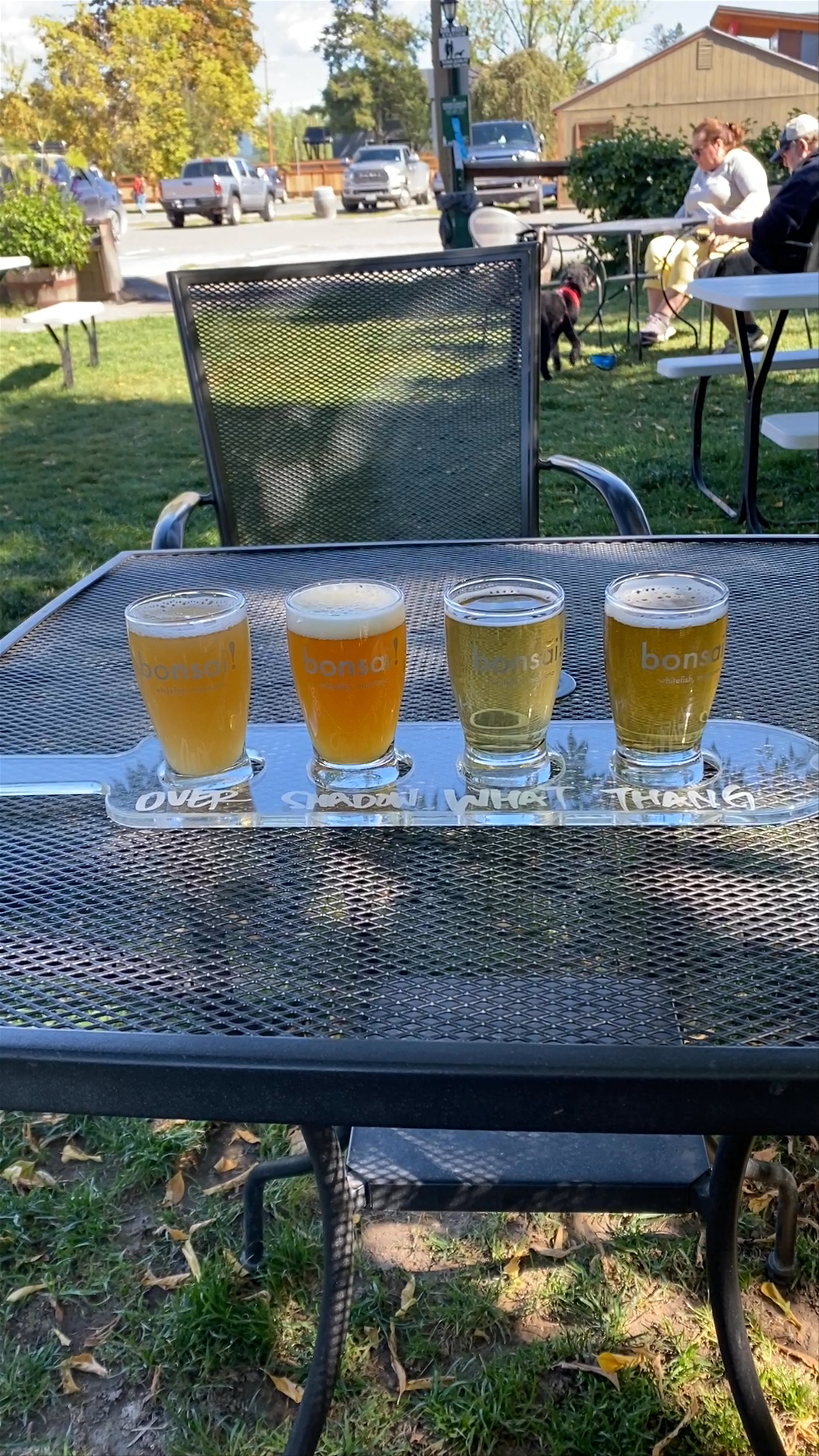 Bonsai Brewing Project