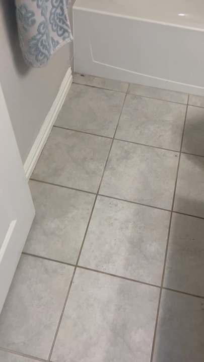 We Clean Carpet - Video of the bathroom - Carpet Cleaning Near Me