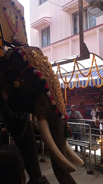 Photo of भगवान अय्यपन Process
