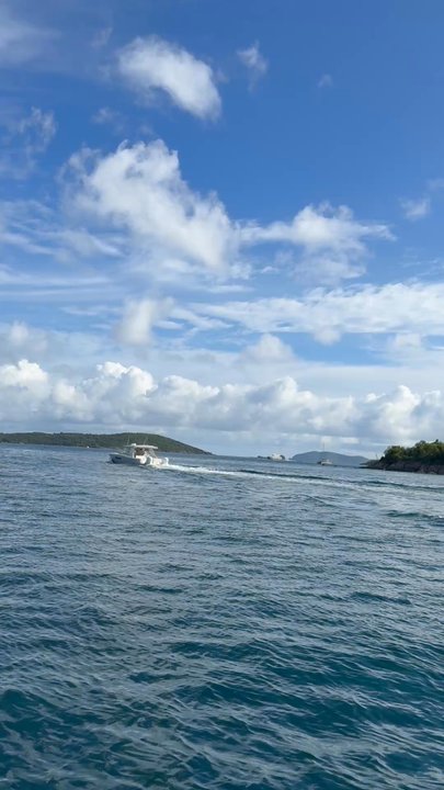 Palm Tree Charters - Boat Charters Near Me - St. John, Virgin Islands
