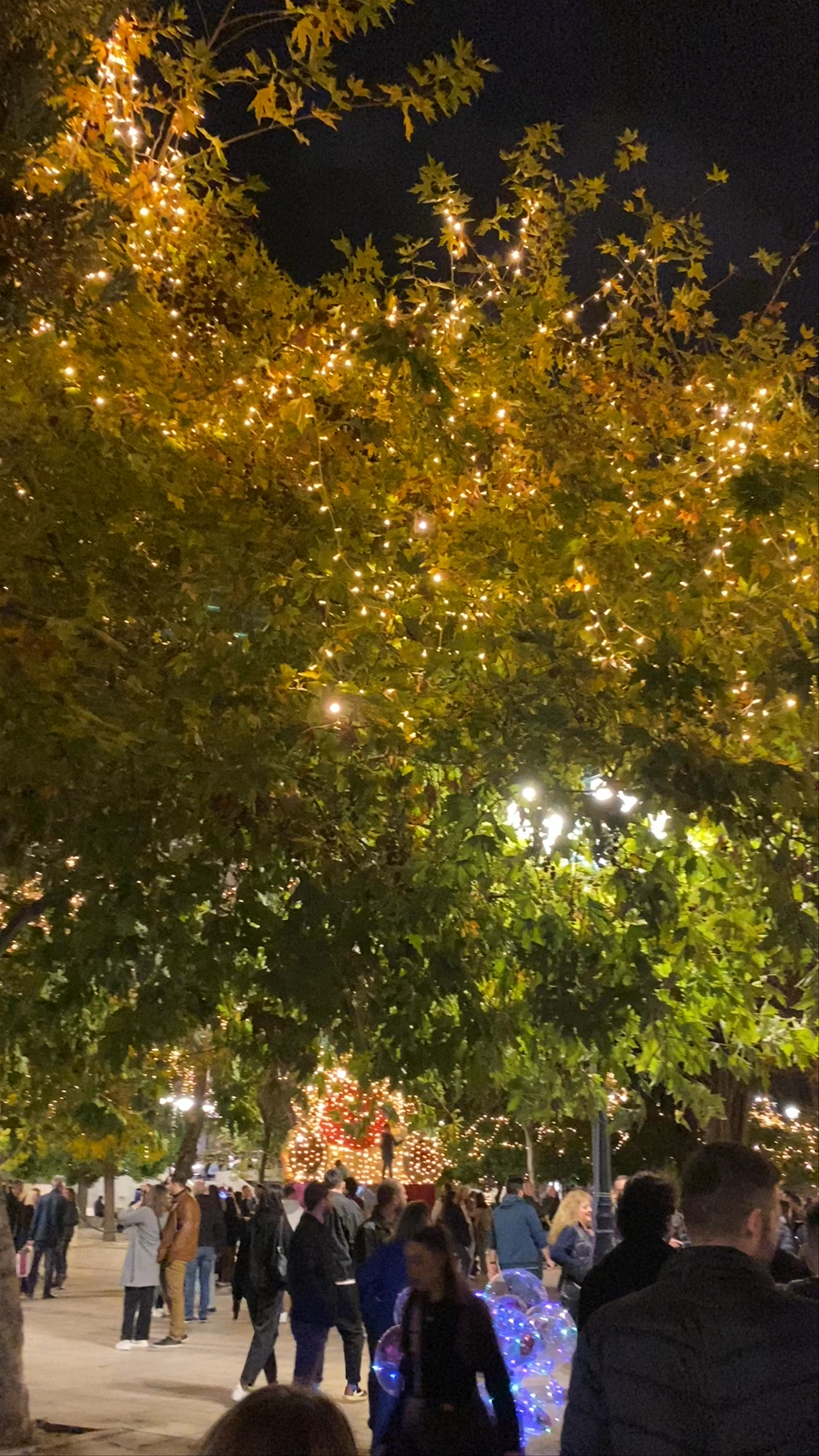 Magical Christmas Festivities at Syntagma Square, Athens