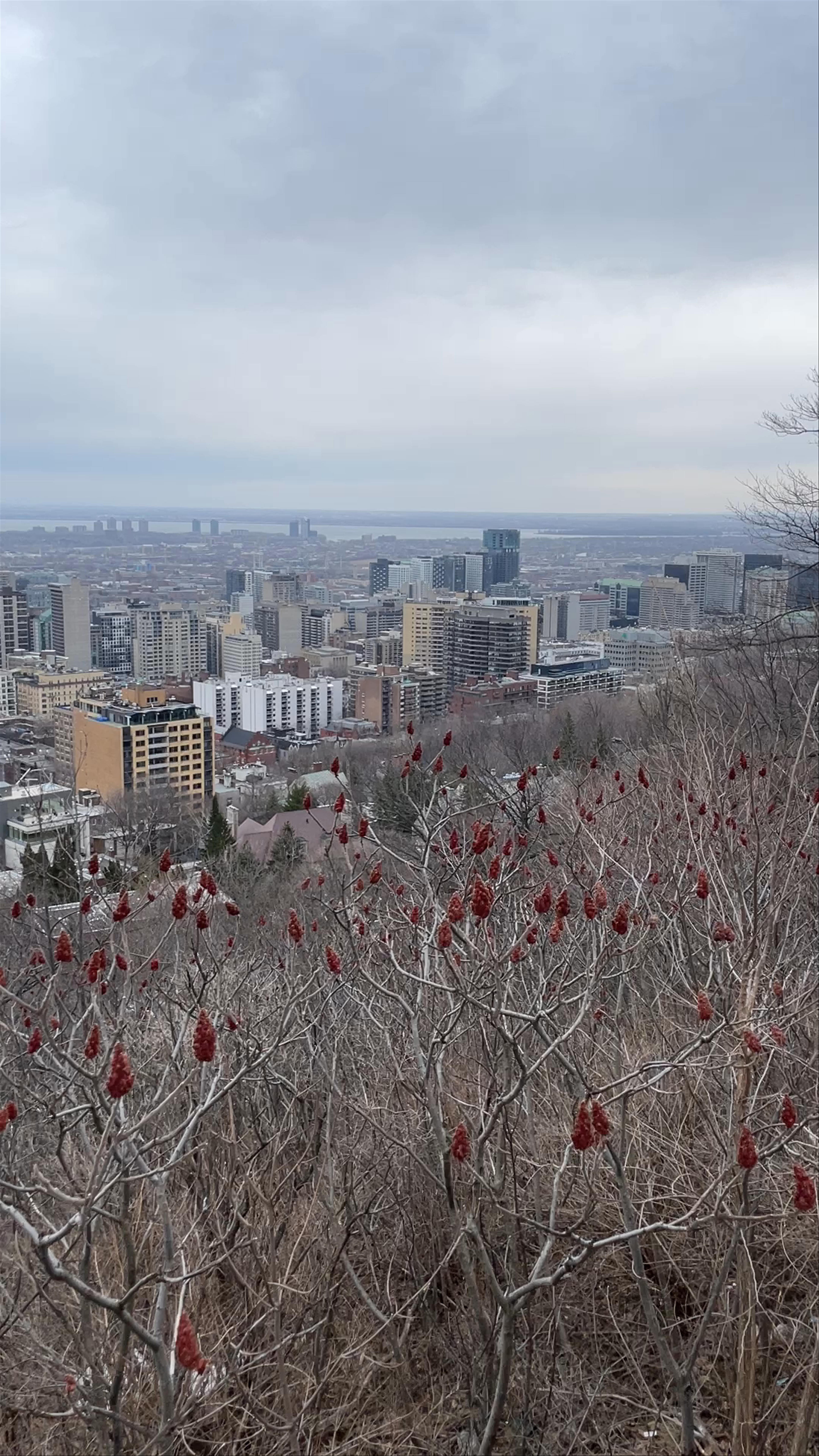 Kondiaronk Belvedere