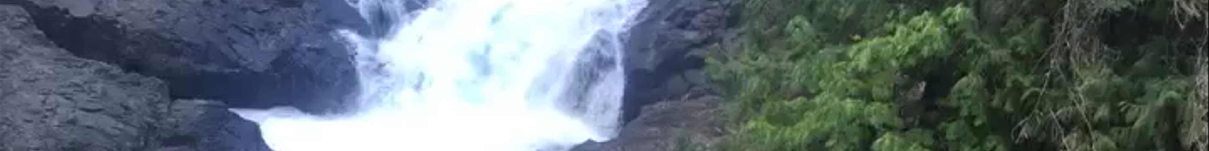 Tours & experiences in Campbell River