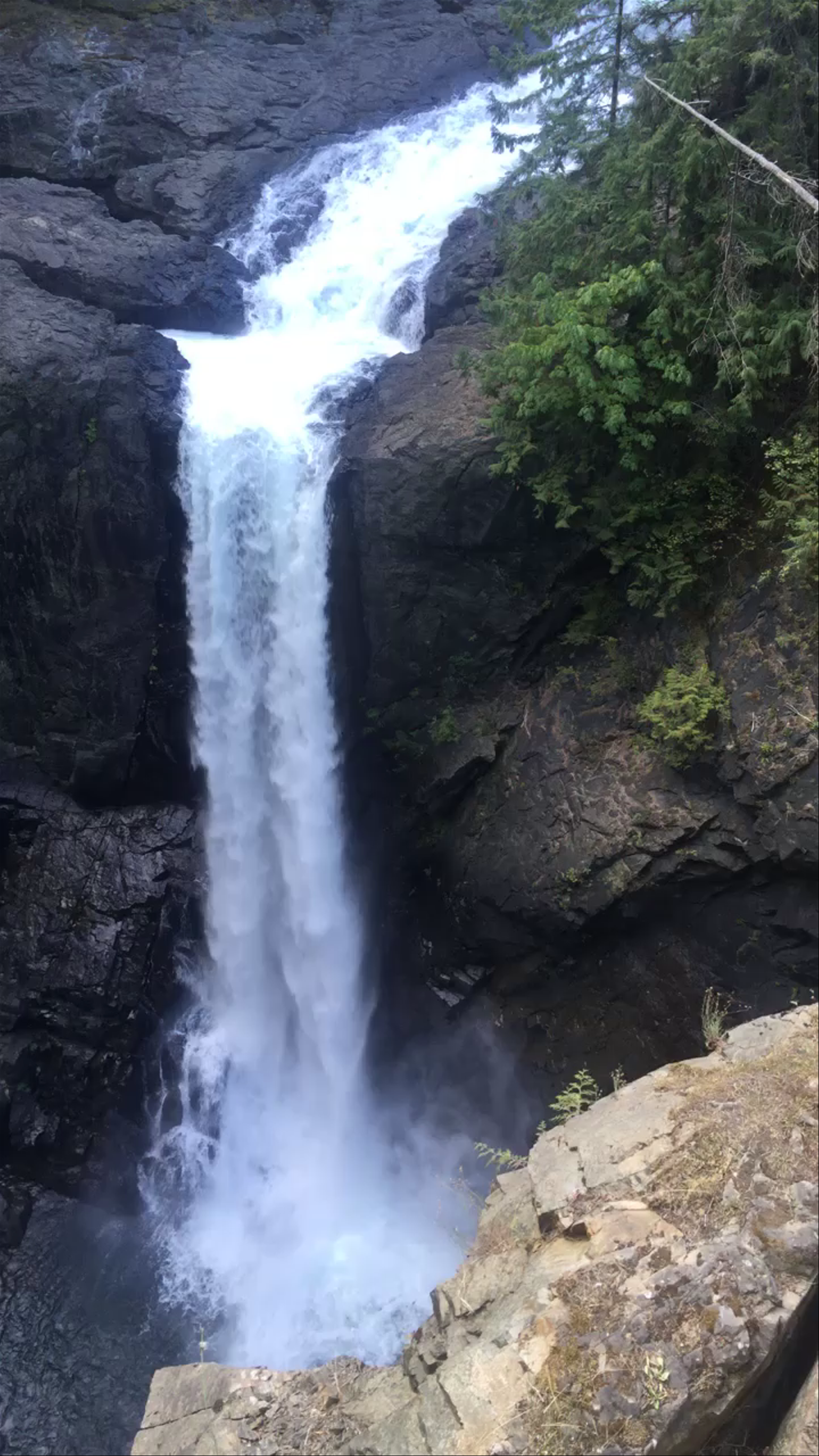 Elk Falls Provincial Park