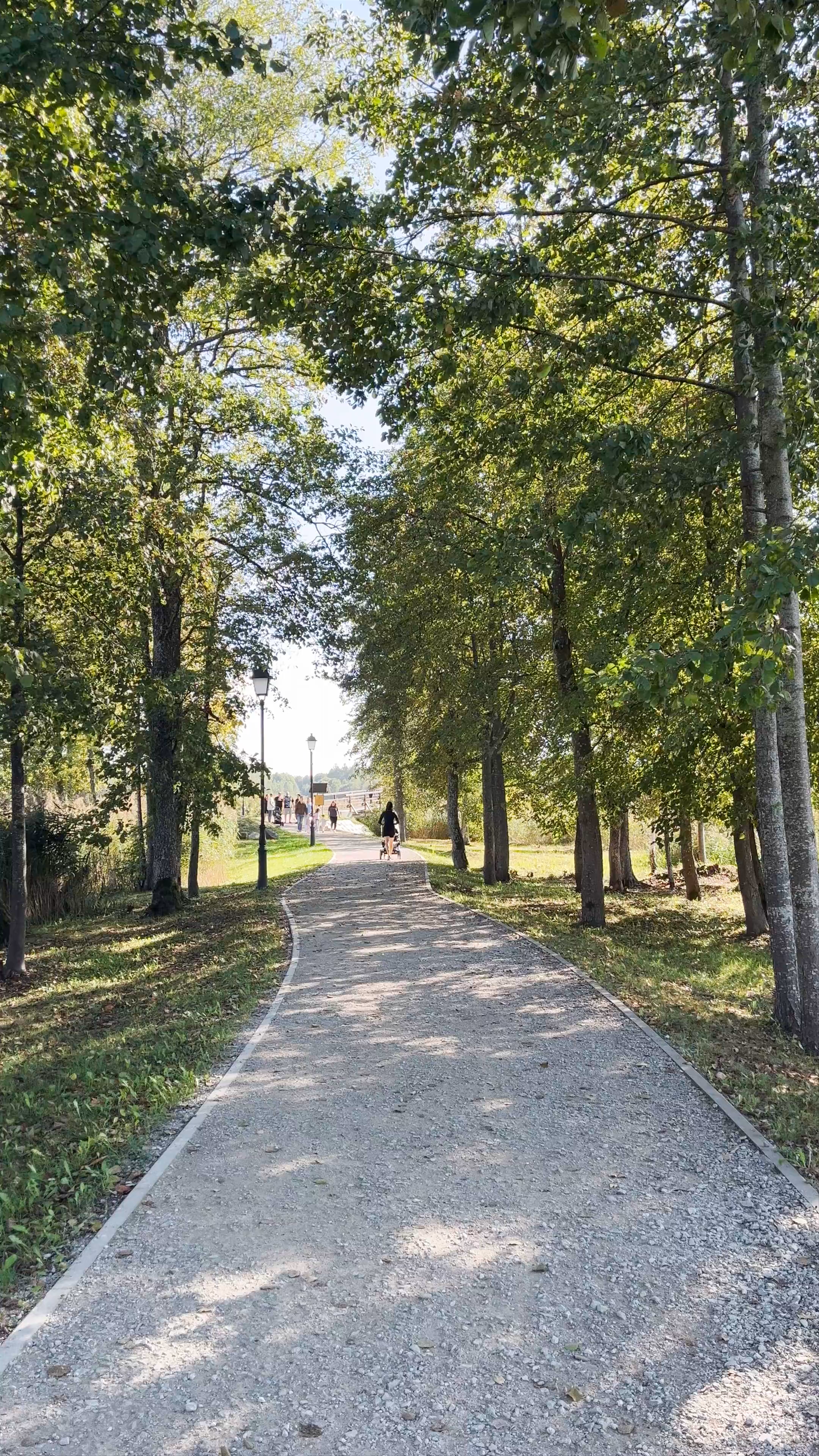 Astravo dvaro pakrantė