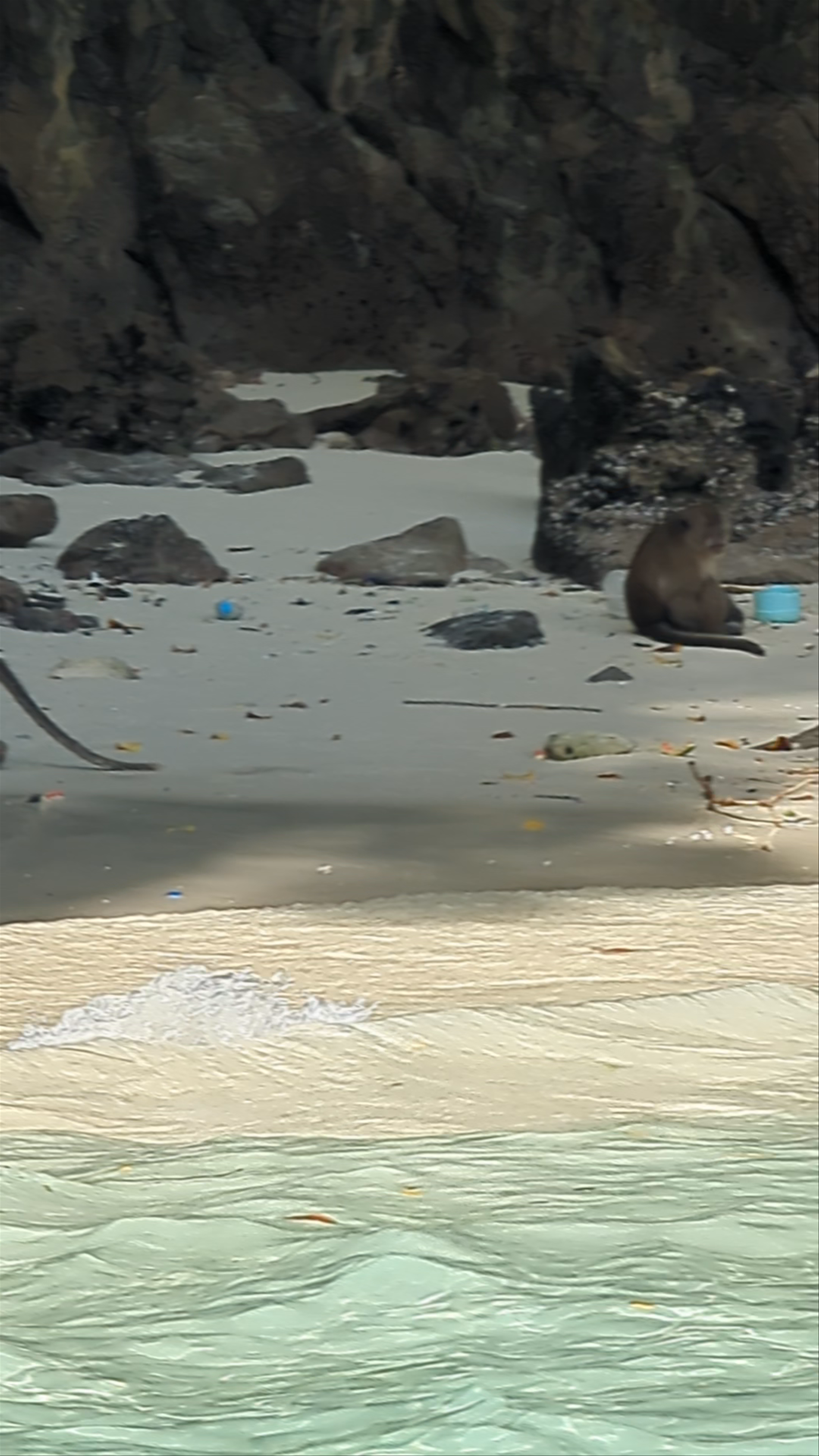 Monkey Beach