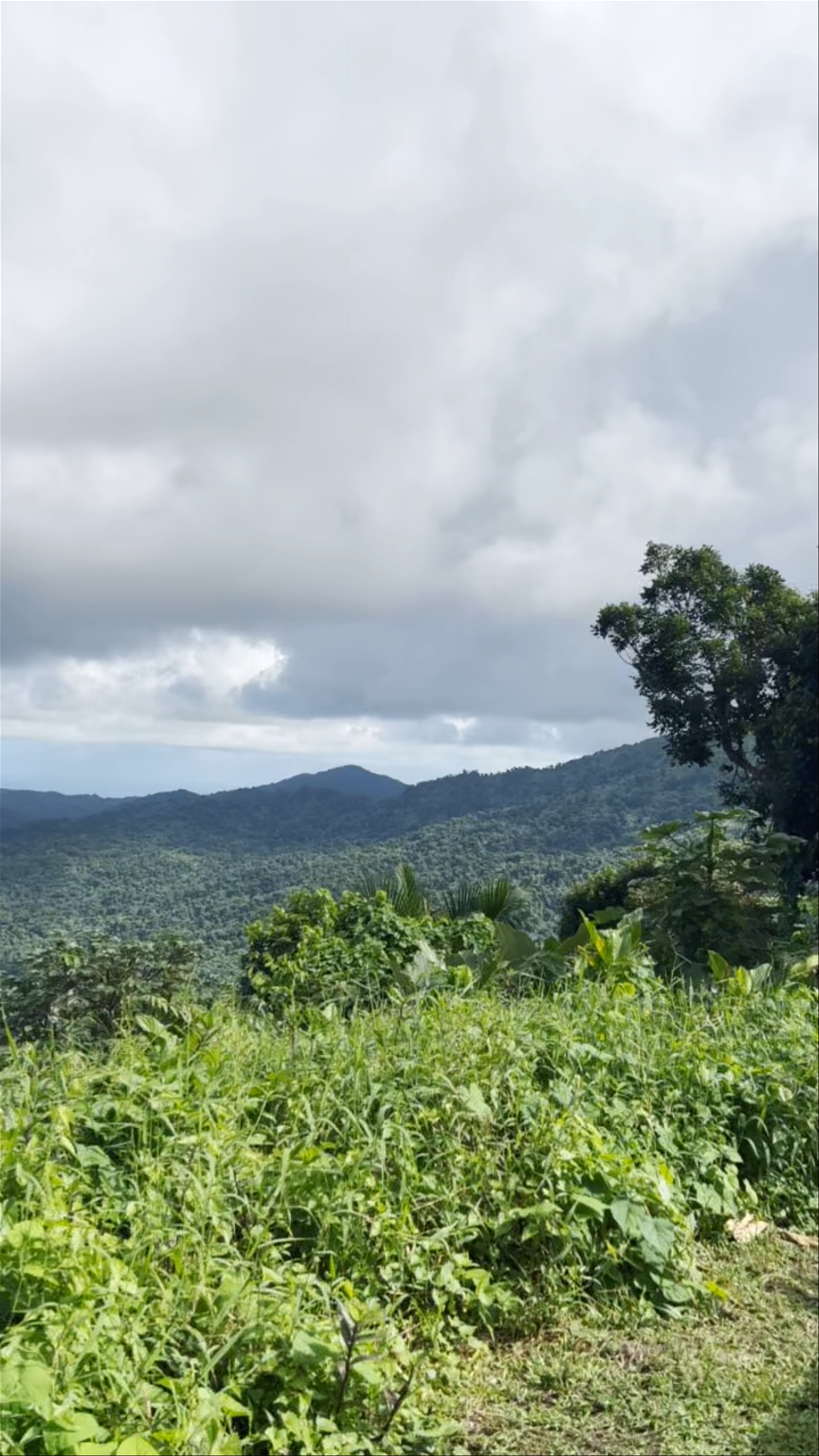 Puerto Rico