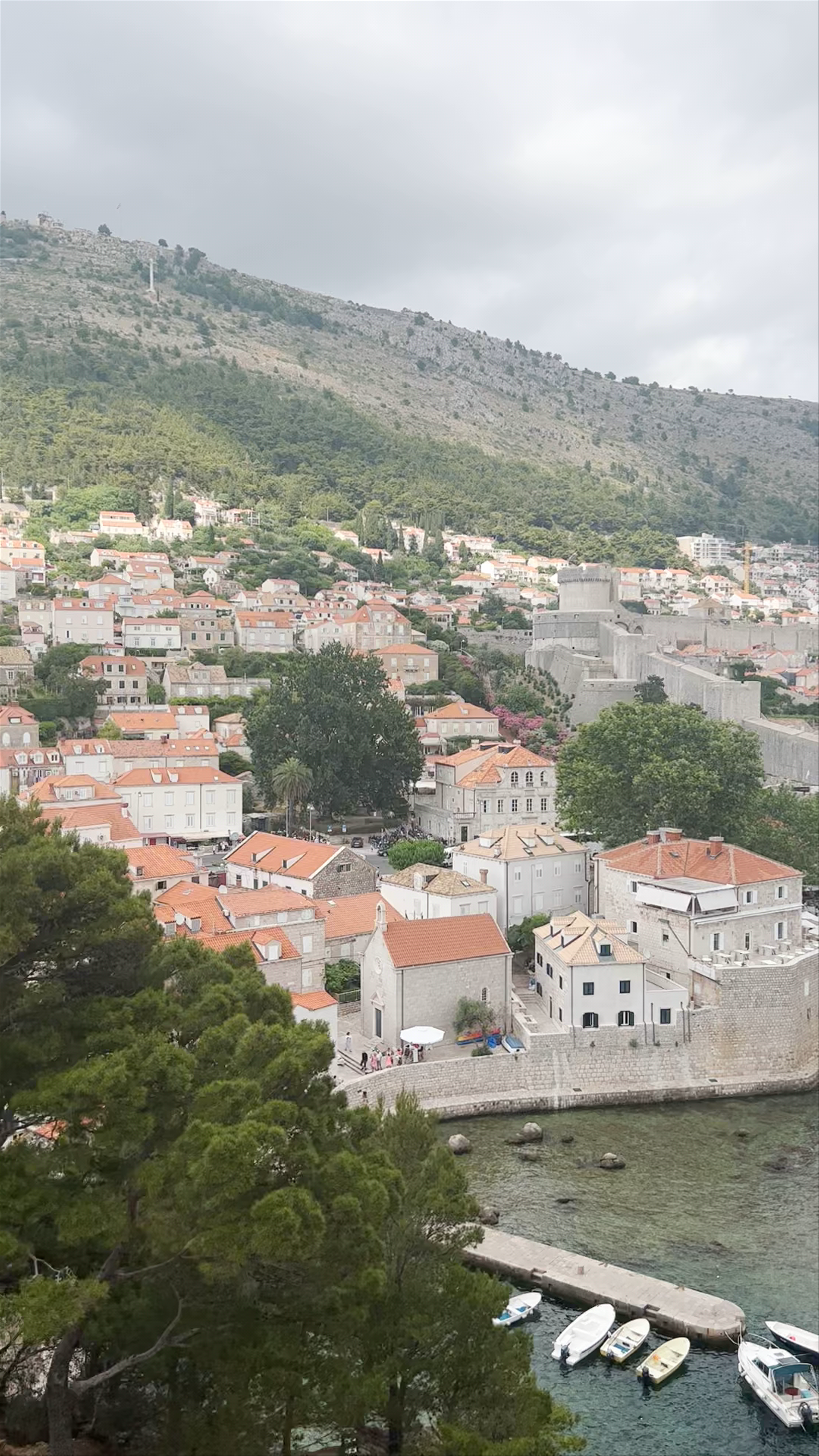 Dubrovnik Local Guides - City Walls Walking Tour