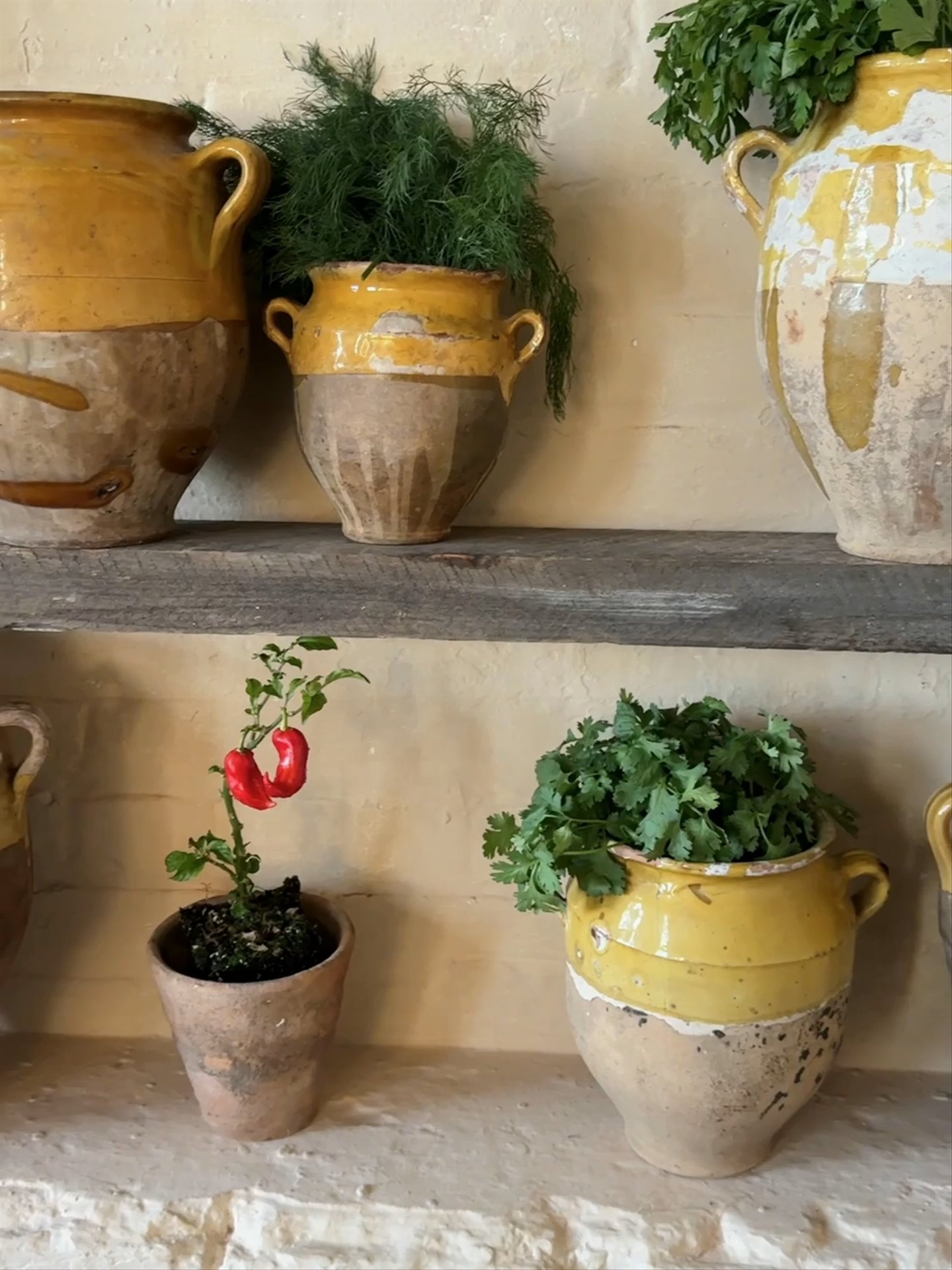 Yellow Confit Pot