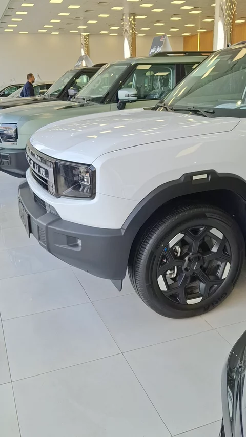 جيتور T1 كمفورت 2025