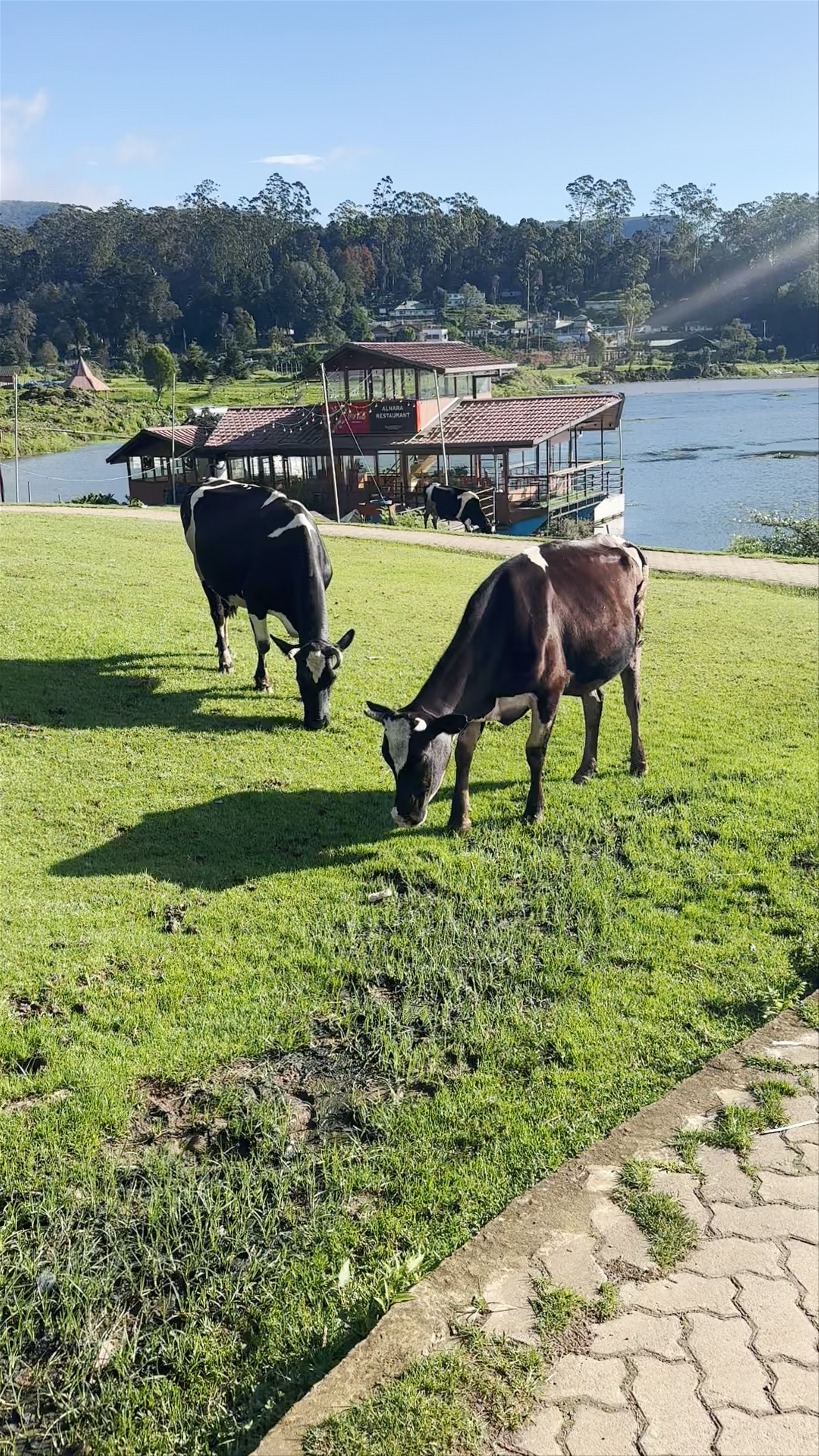 Lake Gregory