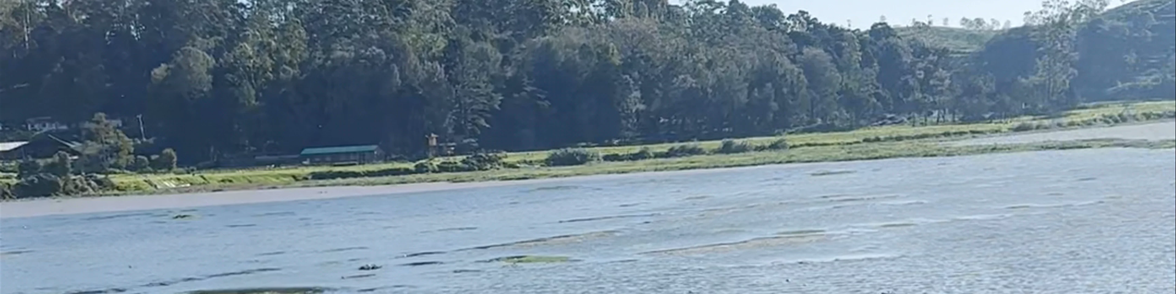 Lake Gregory