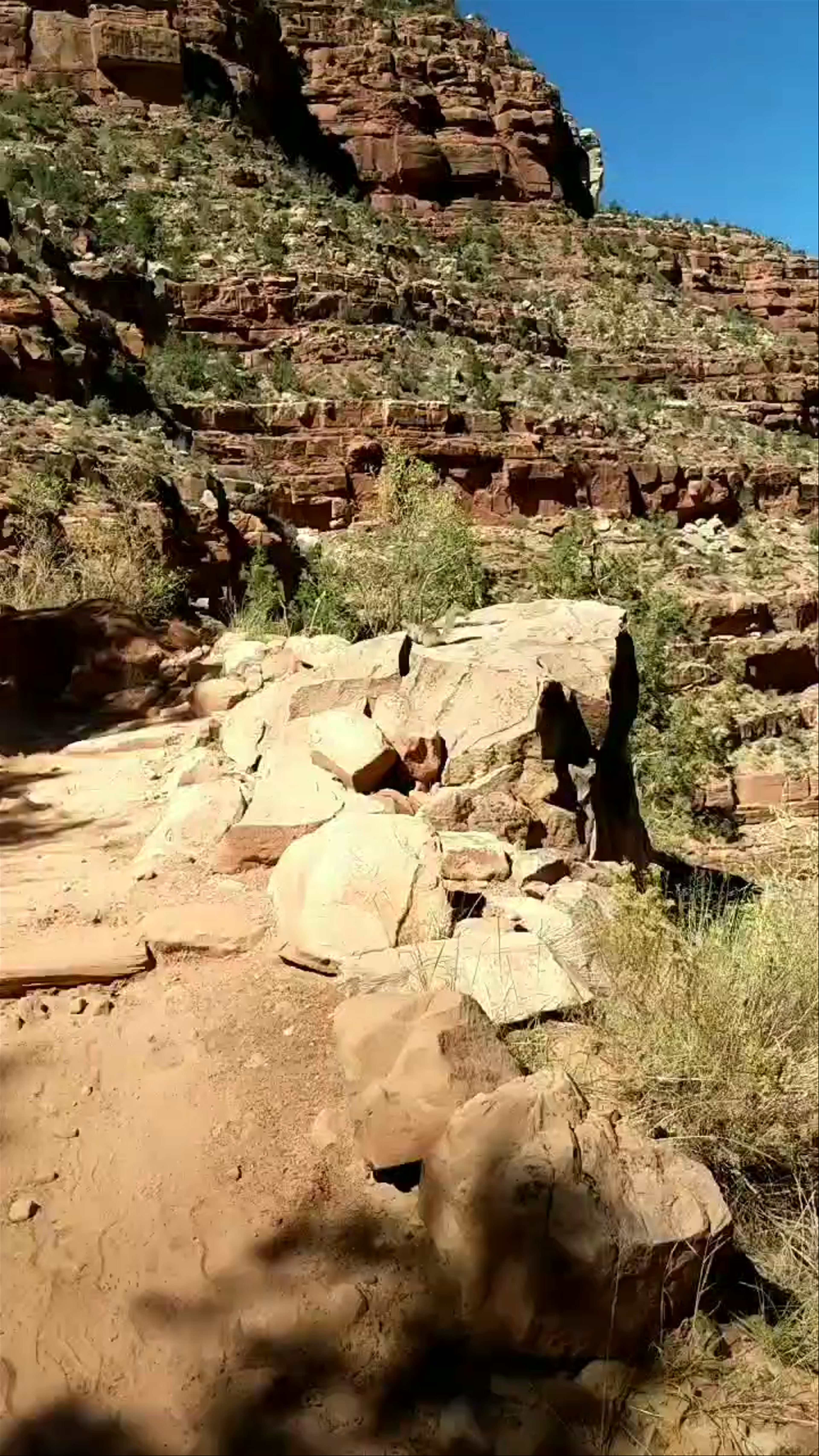 Bright Angel Trail Bridge