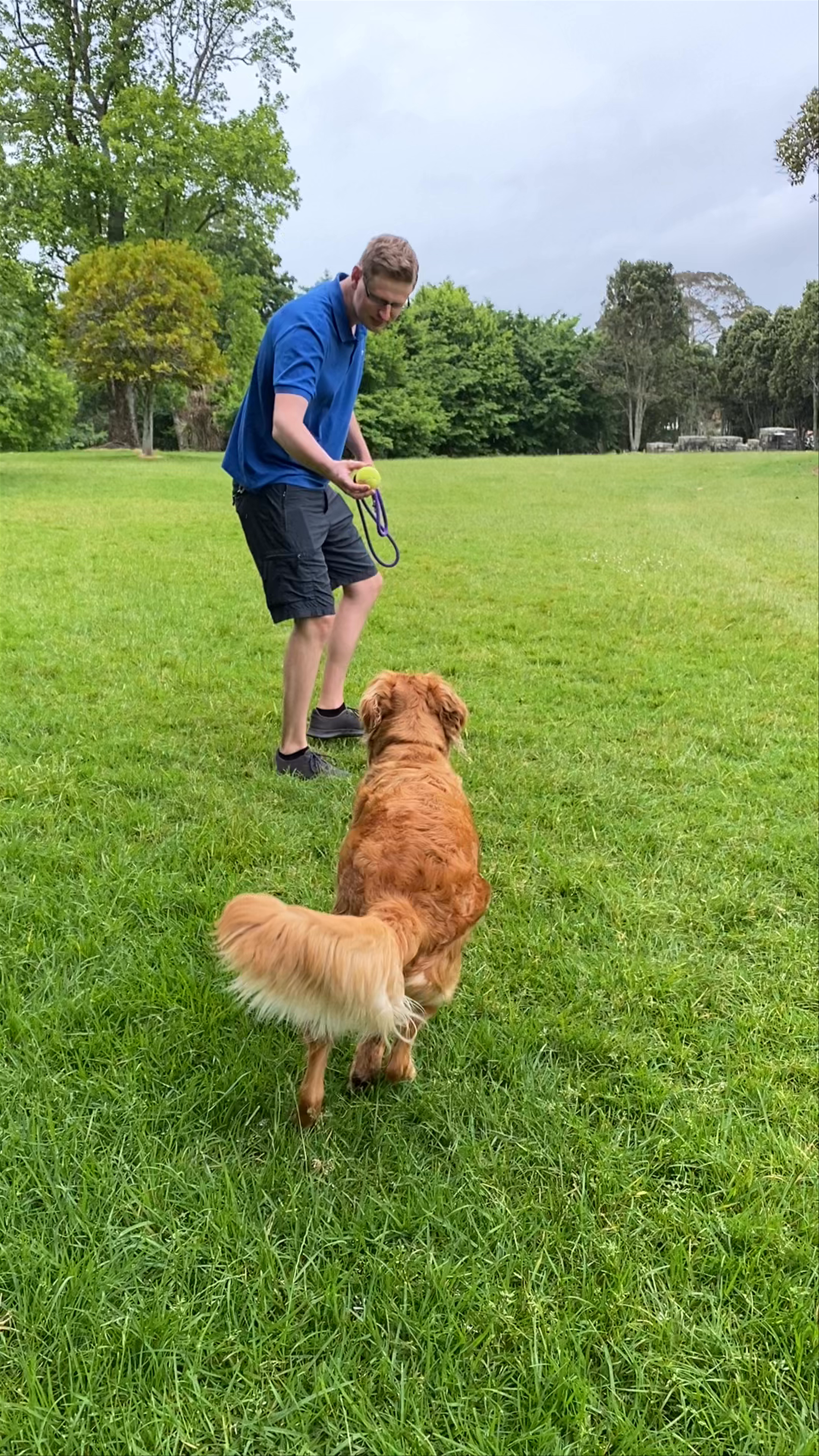 Playful Afternoon at Cornwall Park Green Lane West, Auckland