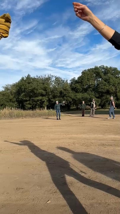 Sky Falconry - Slow motion of Falcon - Specialty Schools Near Me - Alpine, California