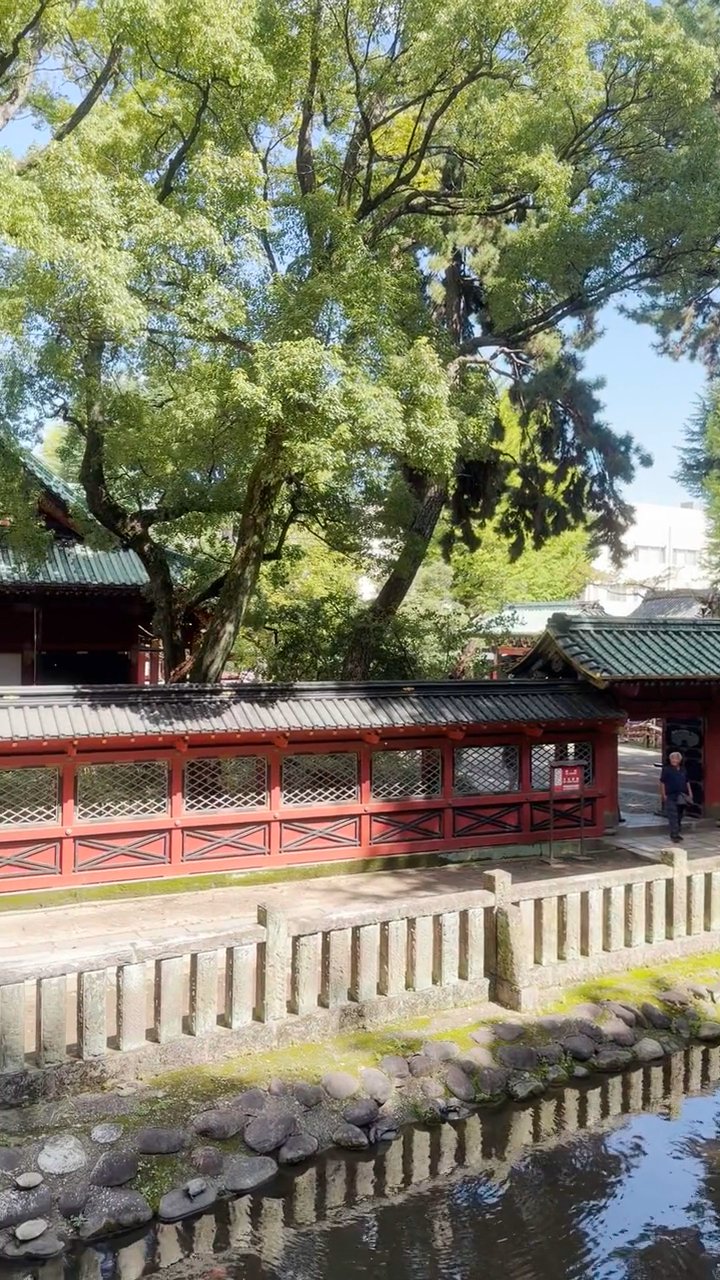 日本はやっぱり美しい🗾
🎥 Peggy Anke · Pexels
#日本 #旅行 #絶景 #風景 #japan