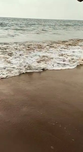 Photo of BEACH LOVER