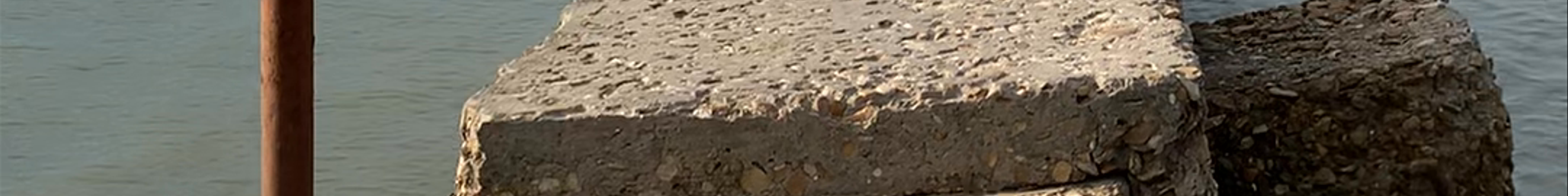 Tours & experiences in Cattolica