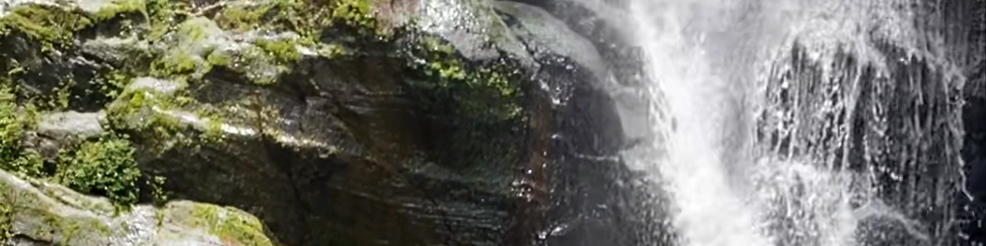 Bri Bri waterfalls