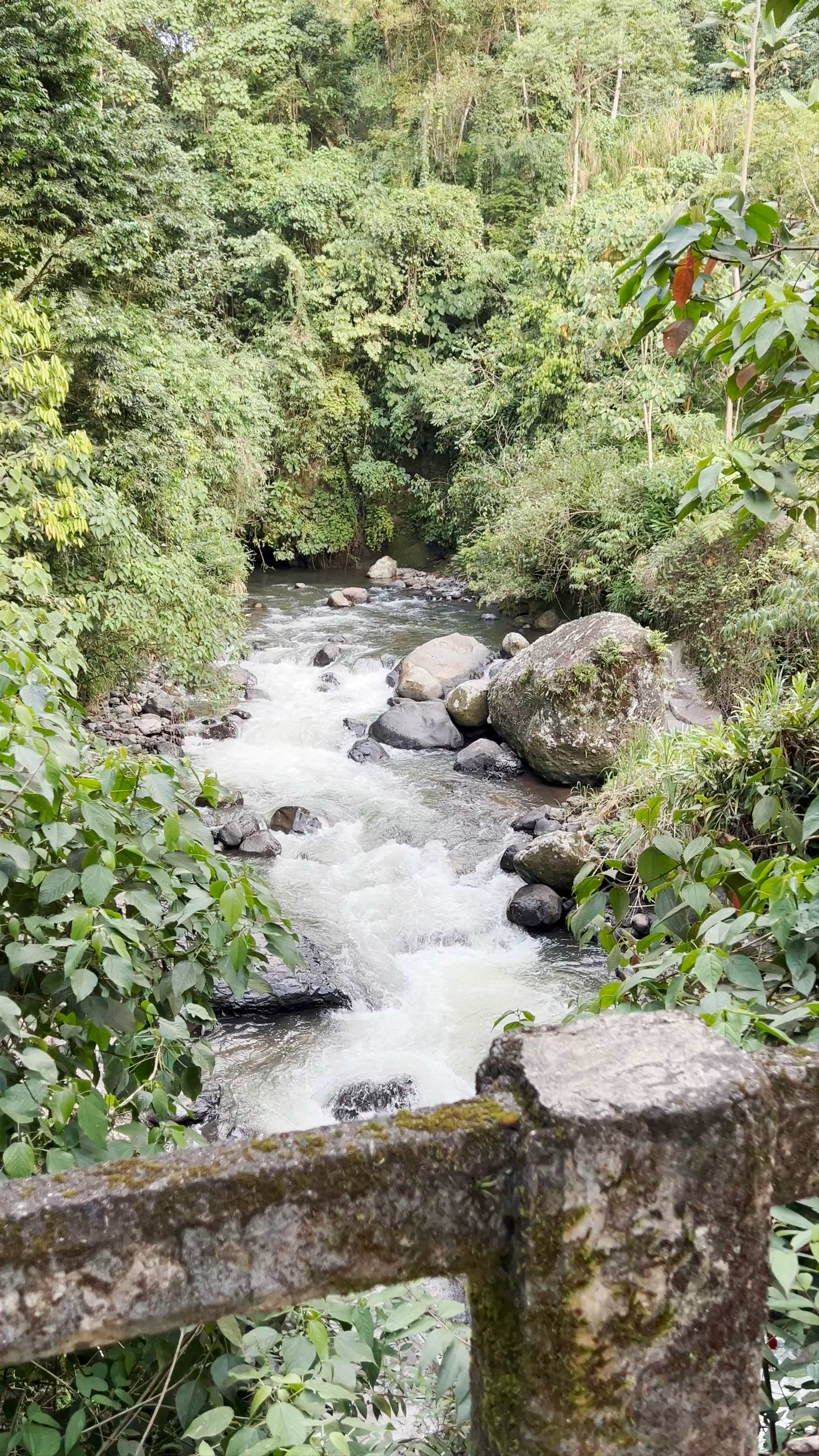 Reserva Natural Jardín de Rocas: A Lush Tropical River Escape in Antioquia, Colombia