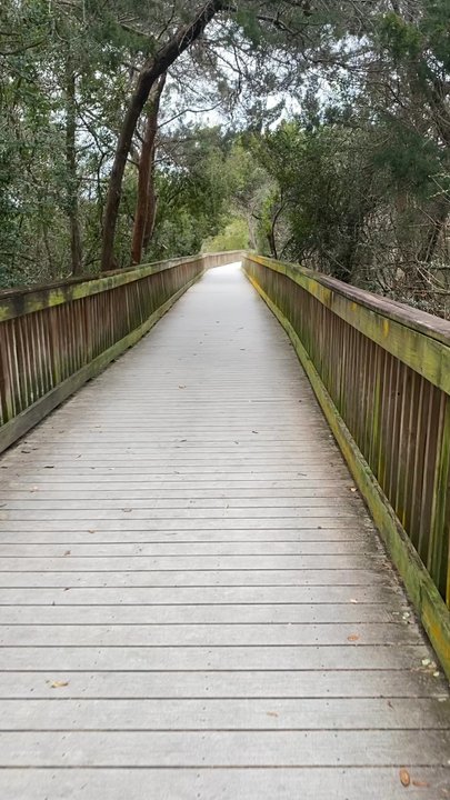 Ocean Hammock Park Walkway - Boardwalk - Parks Near Me - St Augustine Beach, Florida