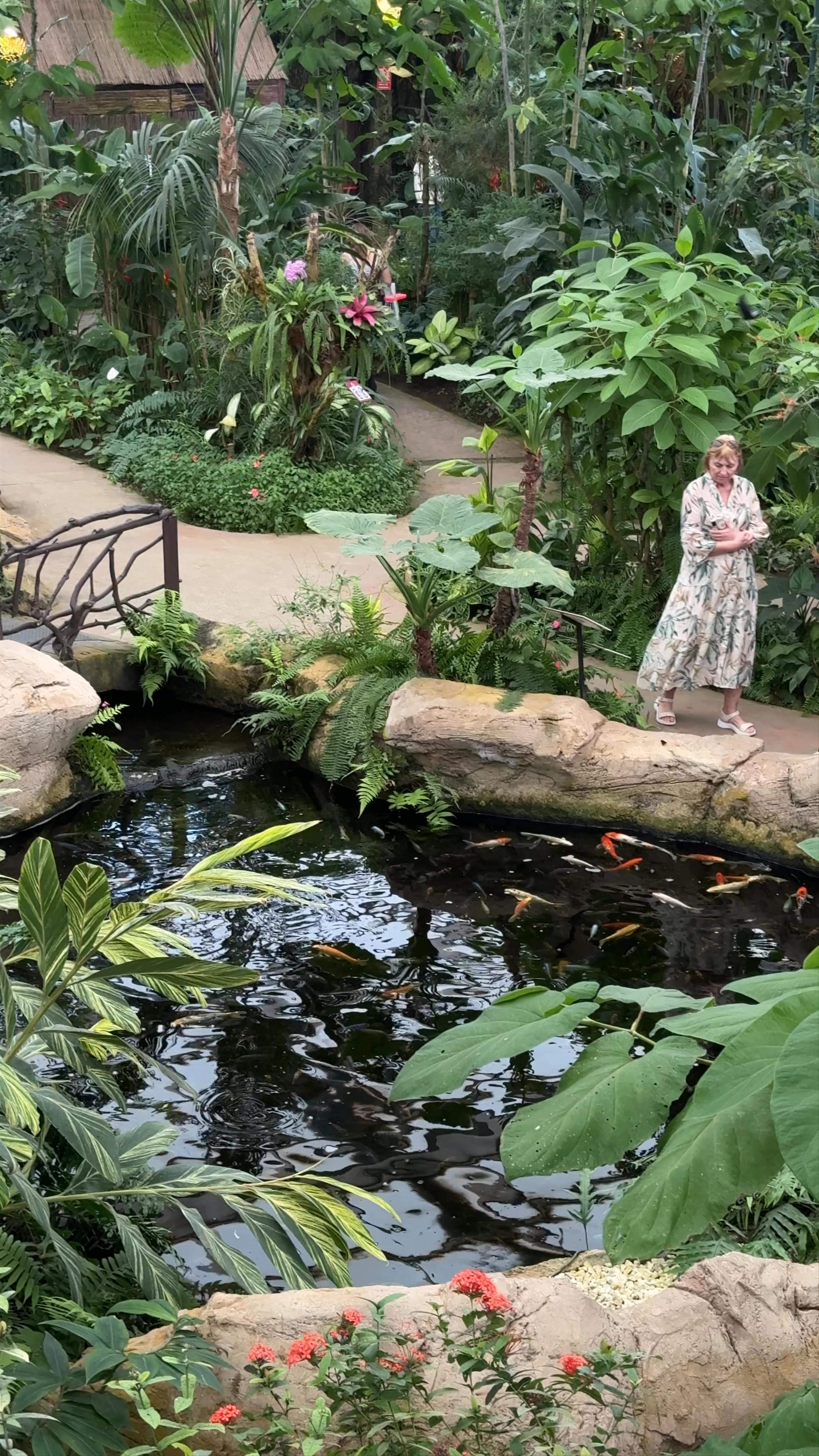 Mariposario de Benalmádena-Butterfly Park