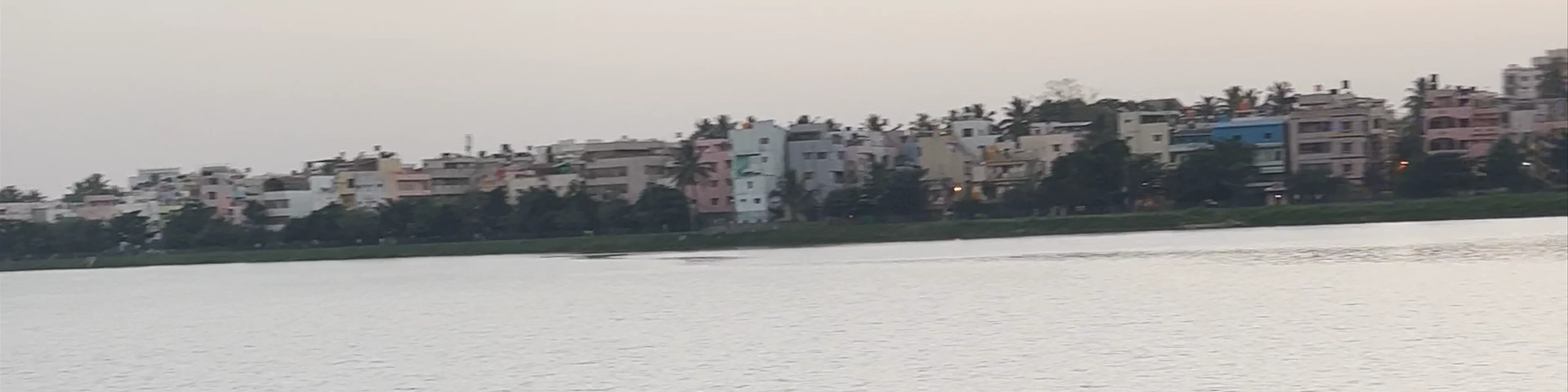 Puttenahalli Lake