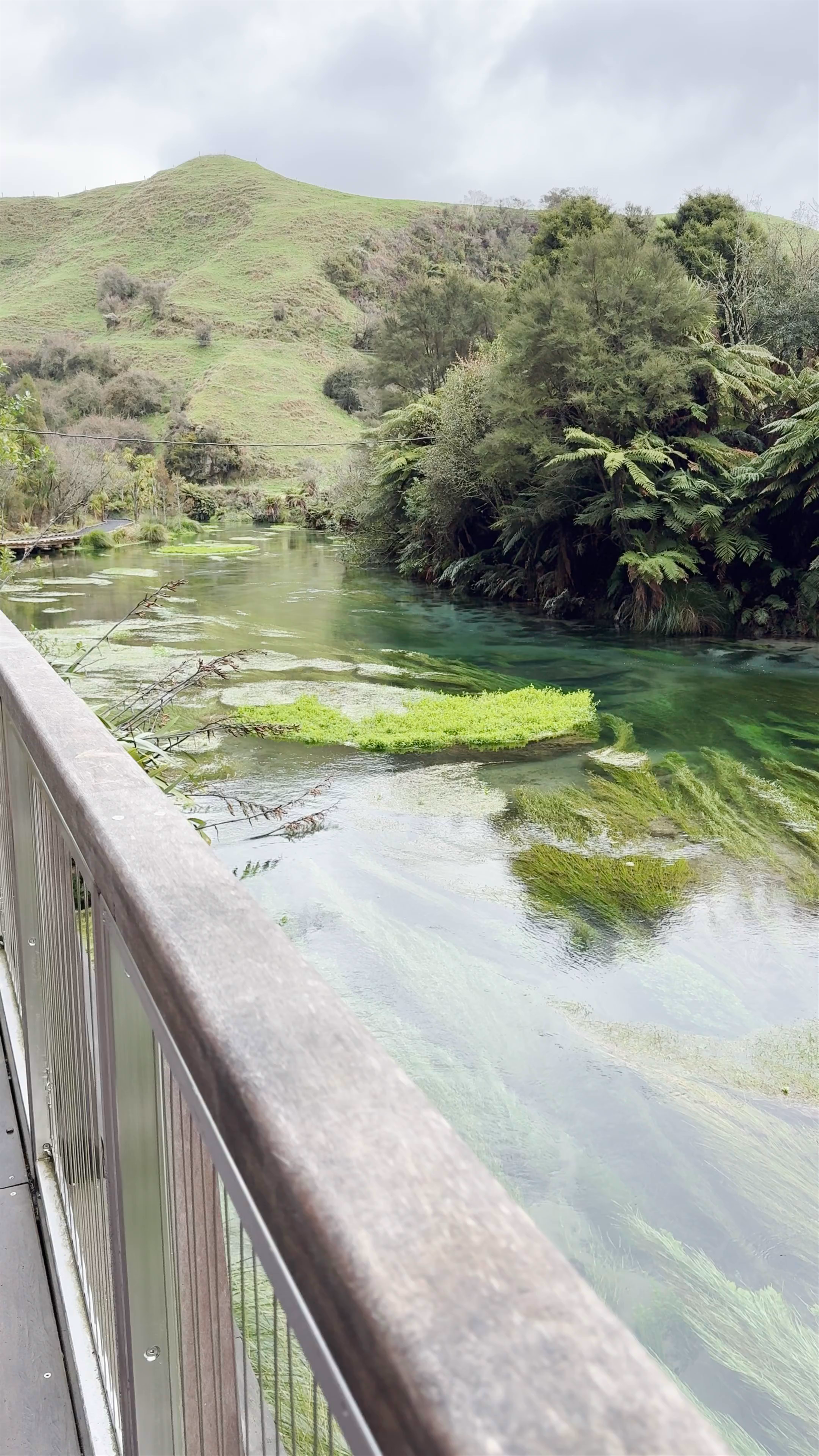 Blue Spring Leslie Road