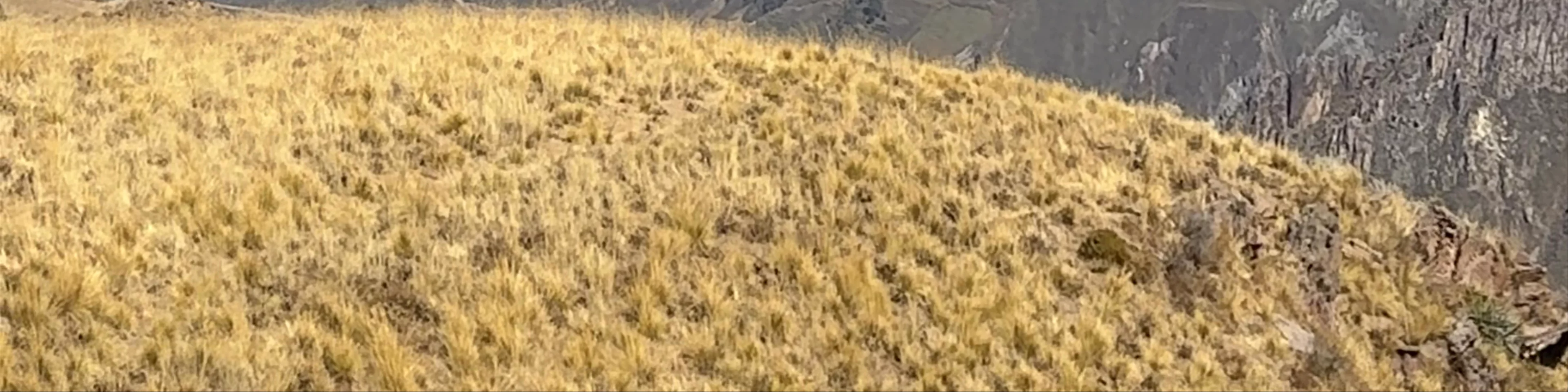 Mirador Cruz del Cóndor