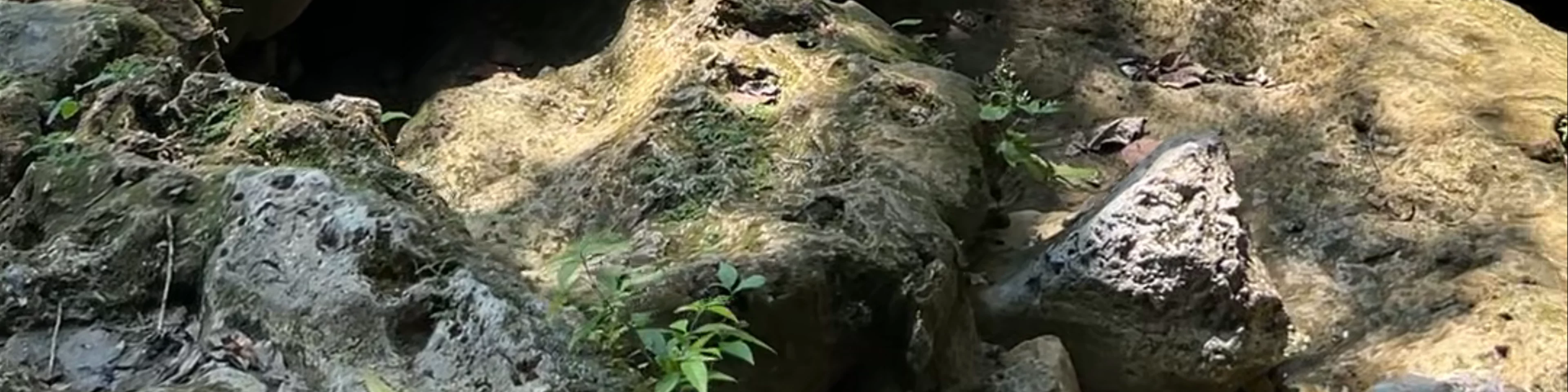 Semuc Champey