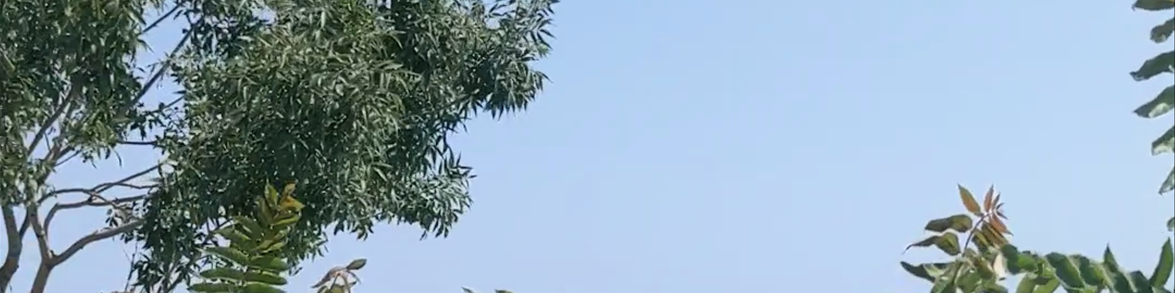 Varna