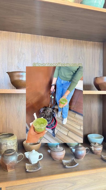Favorite Coffee Museum - my dog with an iced matcha latte w/ oat milk - Coffee & Tea Near Me - Whittier, California