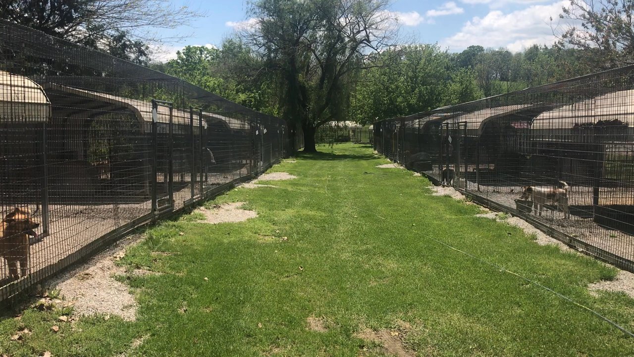 Review video 1 of 1 for Haven of the Ozarks Animals Sanctuary, image size:1280x720