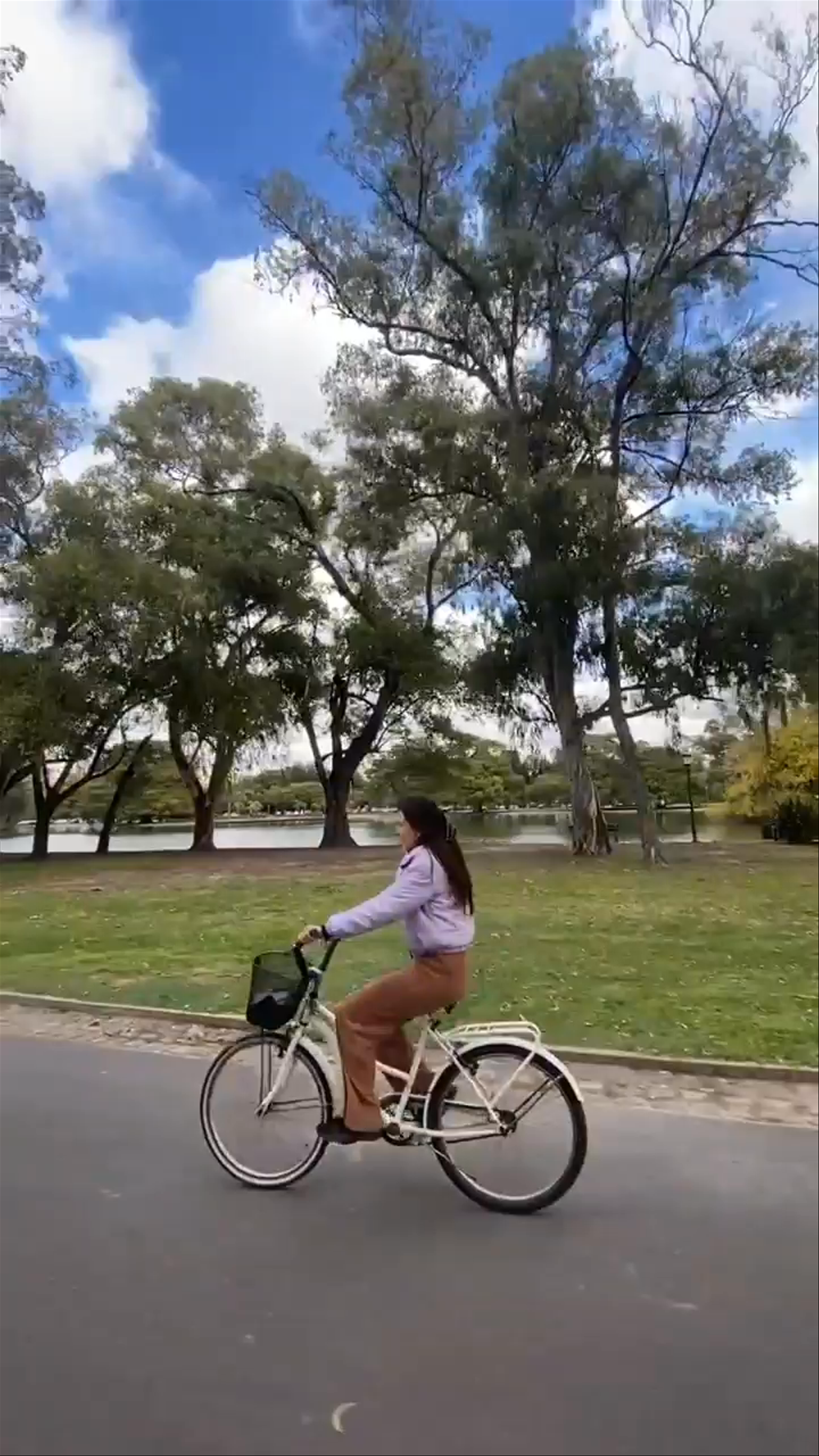 Biking Through the Lush Serenity of Parque El Rosedal, Buenos Aires
